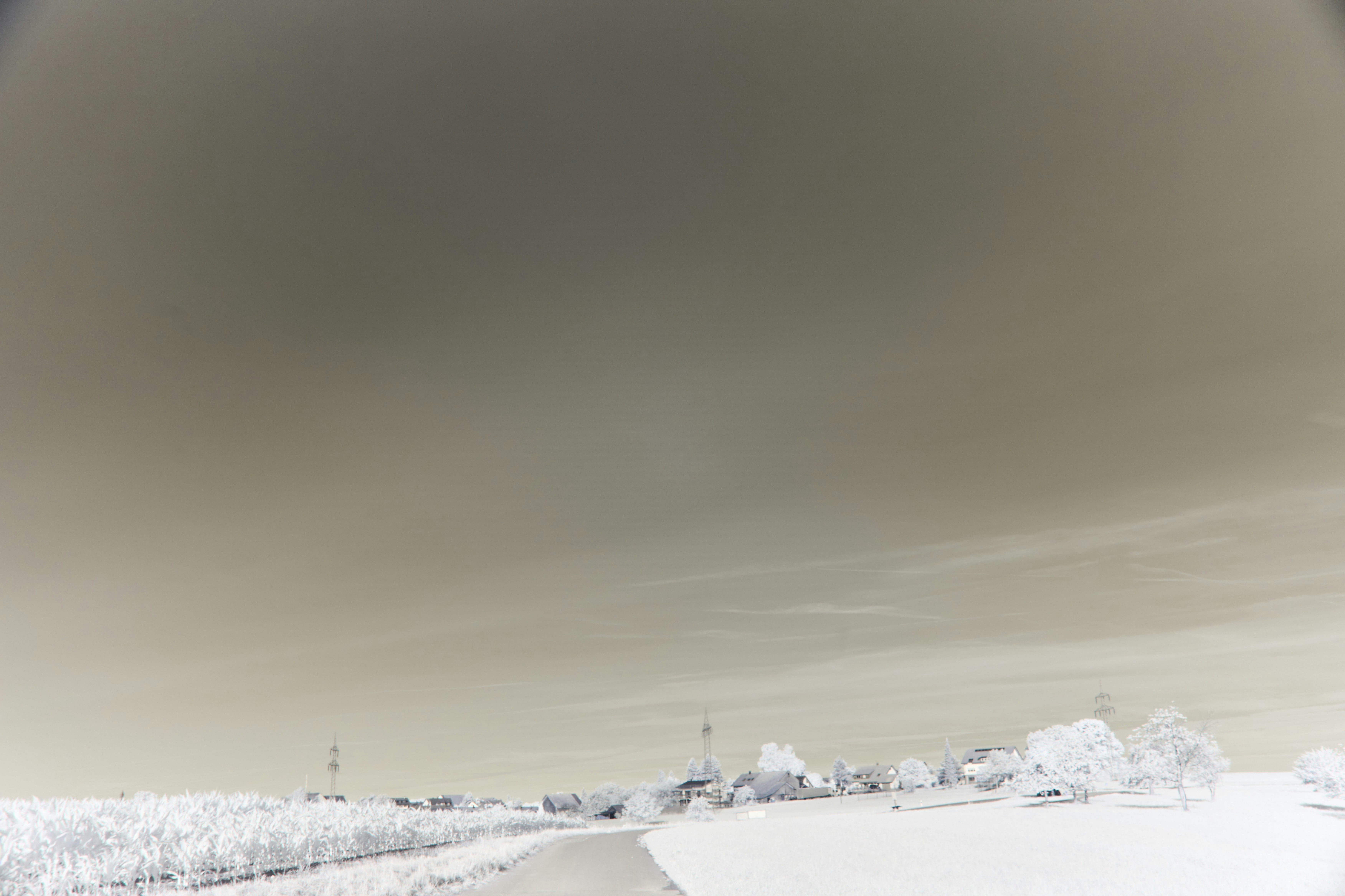 Photo by wolfgang_hasselmann