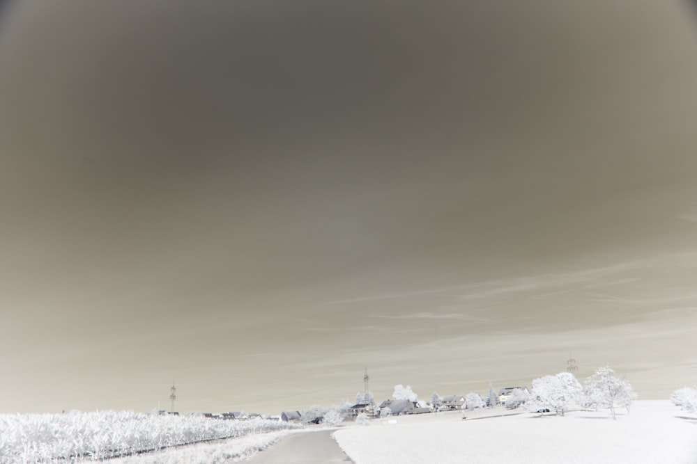 a snowboarder is going down a snowy road