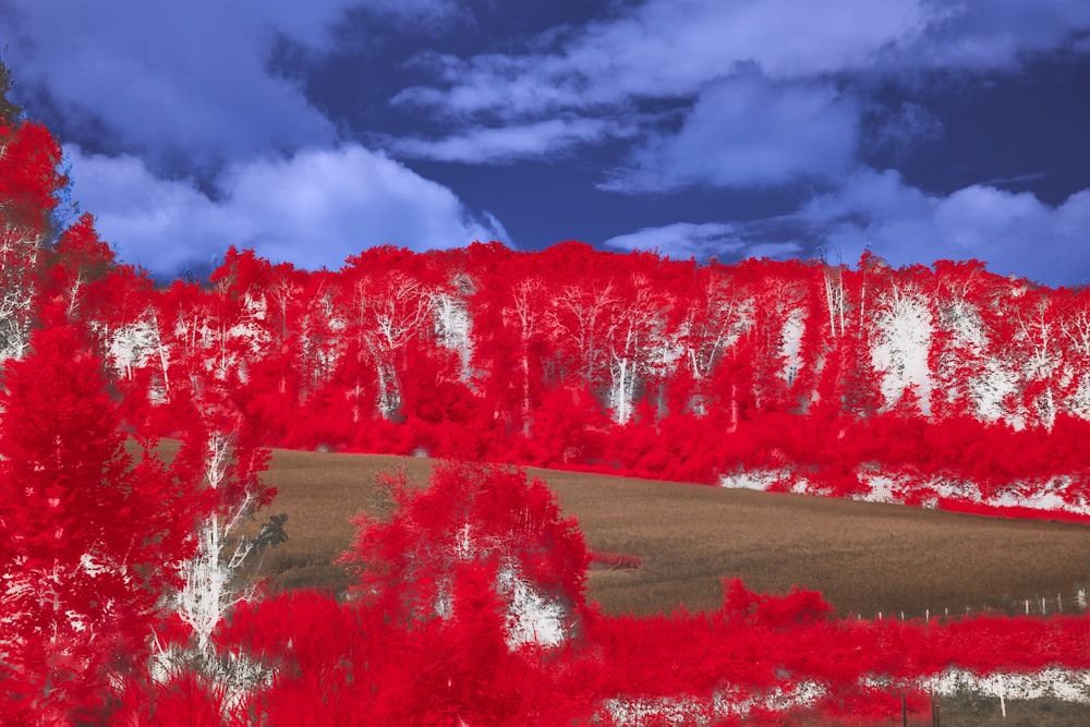 a red and white landscape with trees and clouds