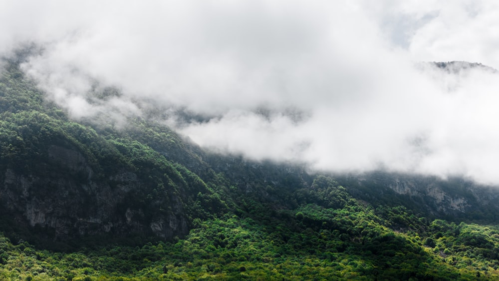 a lush green hillside covered in clouds and trees