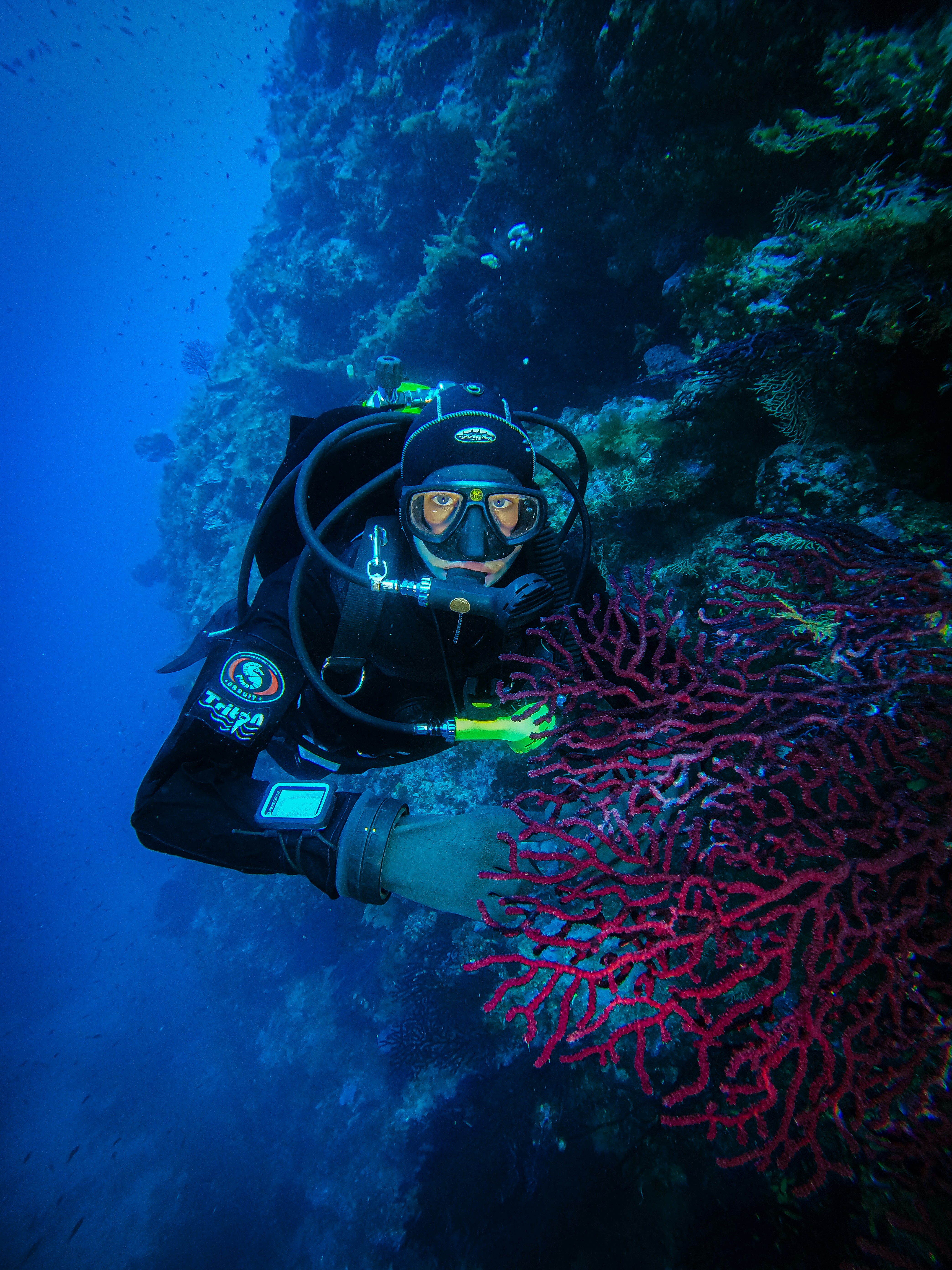 a person scubas near a coral reef in the ocean