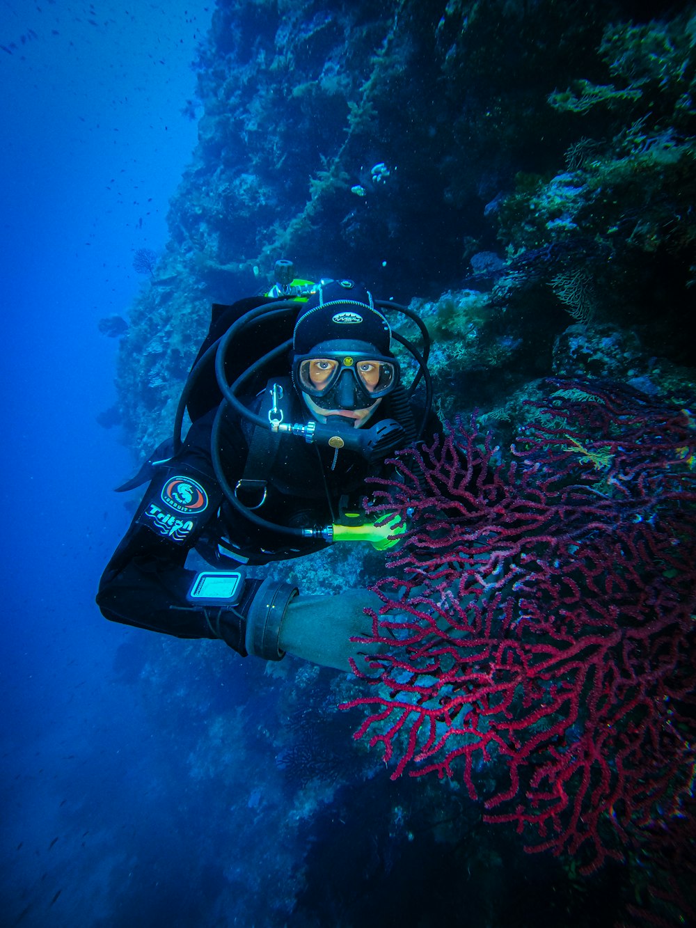 a person scubas near a coral reef in the ocean
