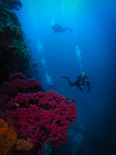 a couple of people that are in the water