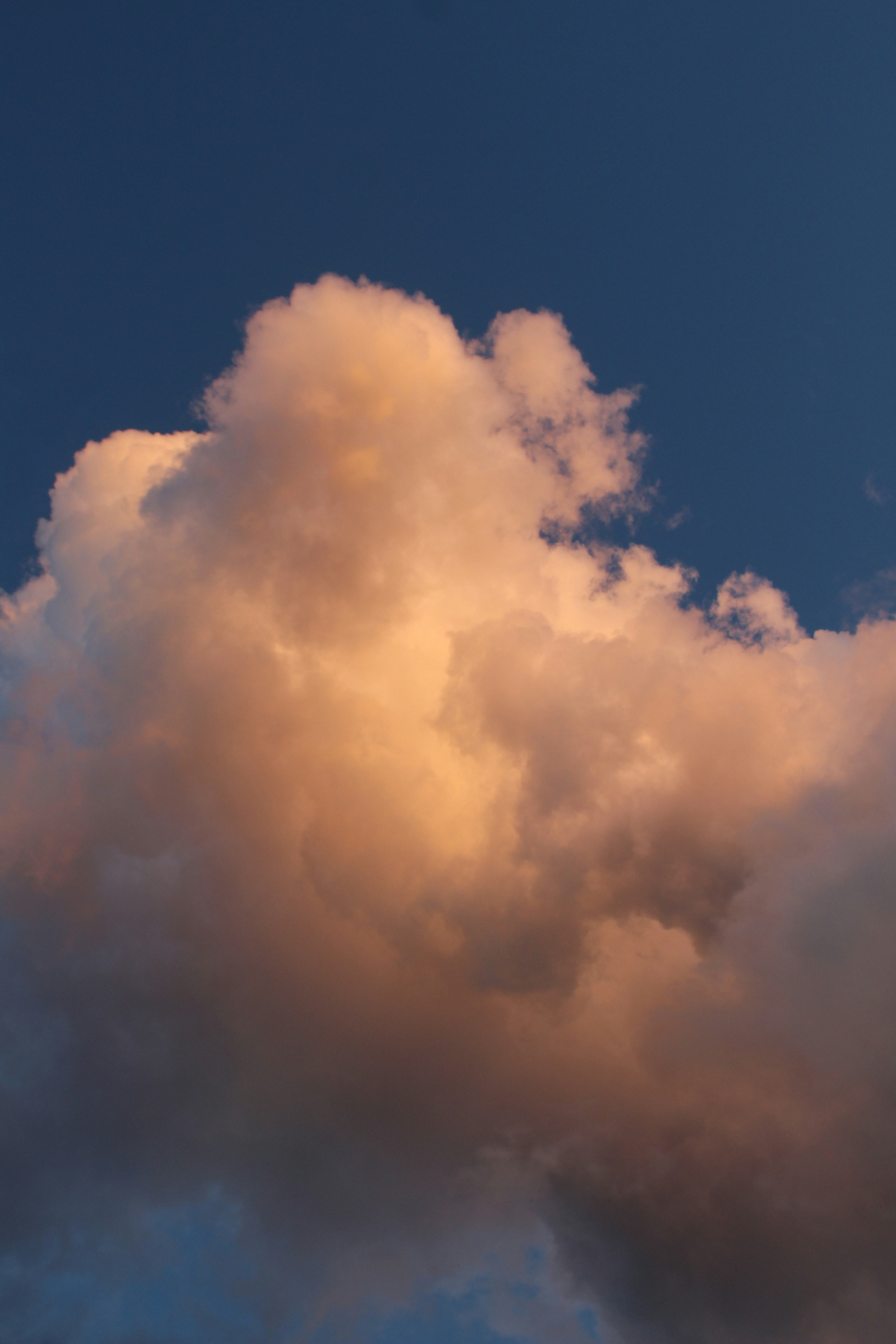 Photo by joha_cabral