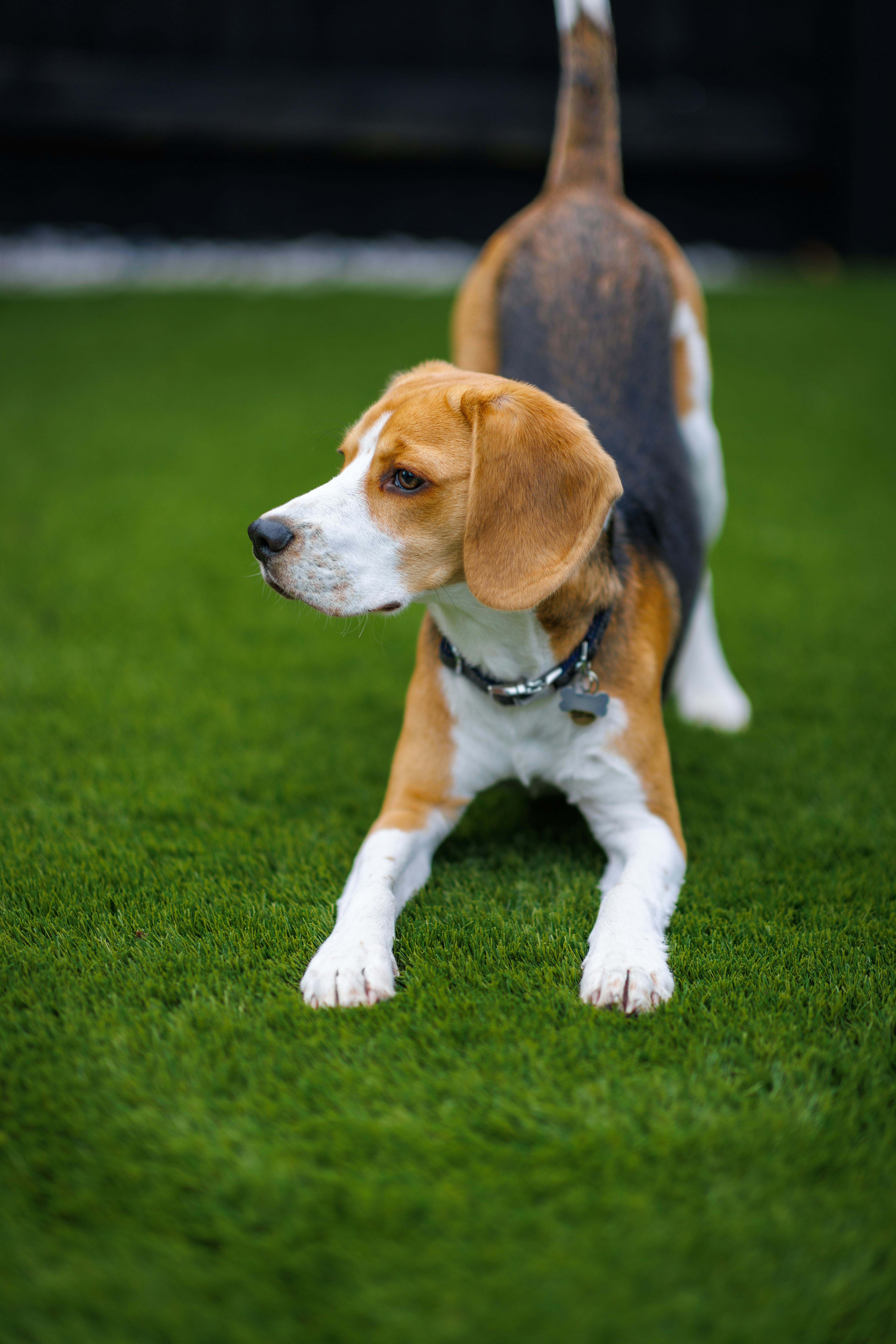 Photo by benofthenorth