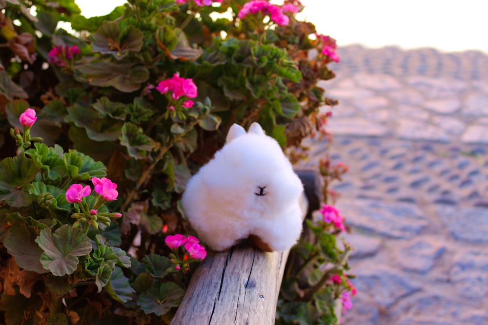 a white stuffed animal sitting on top of a wooden post