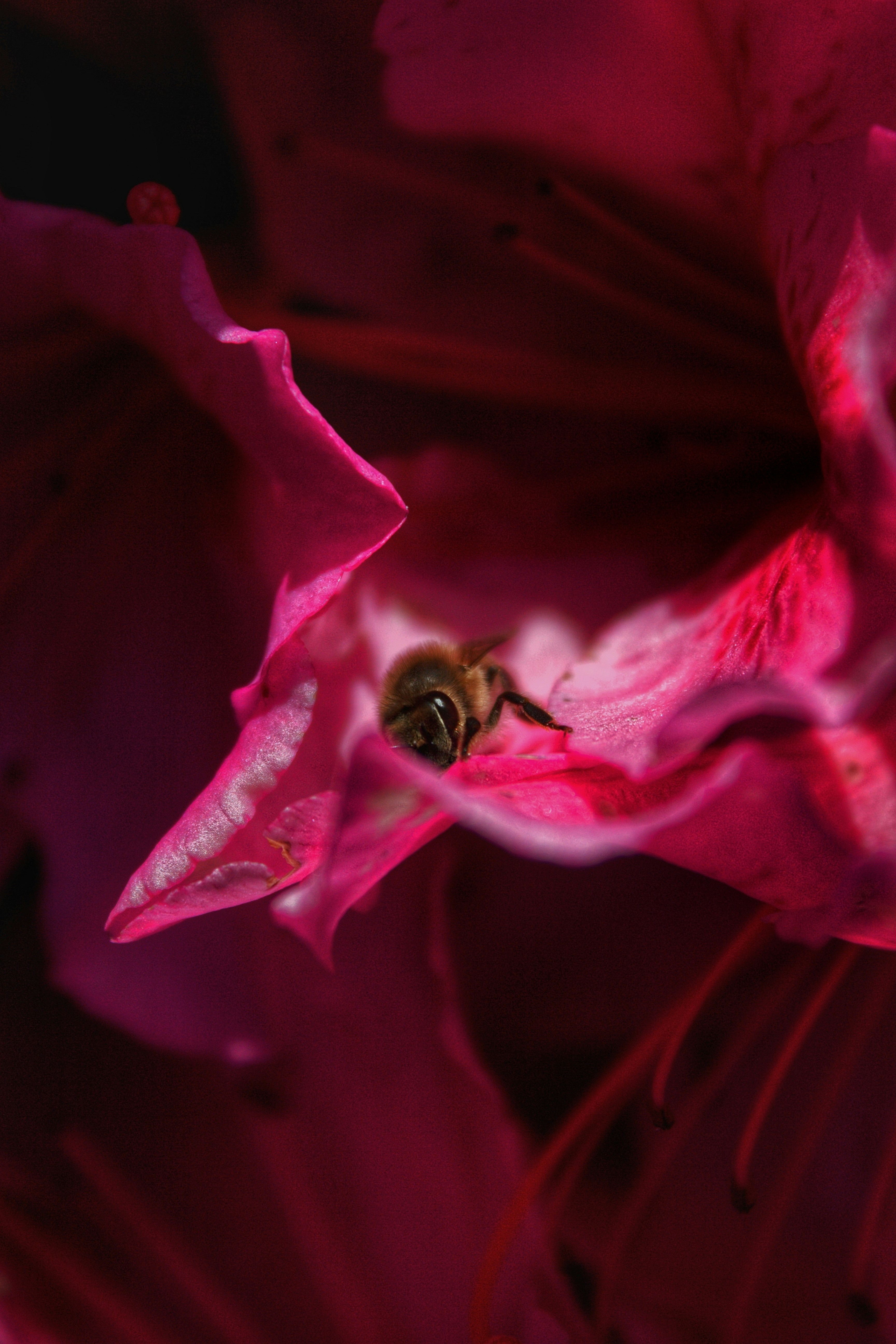 Photo by thibxlt_pic