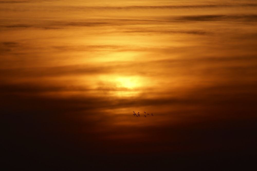 a group of birds flying in the sky at sunset