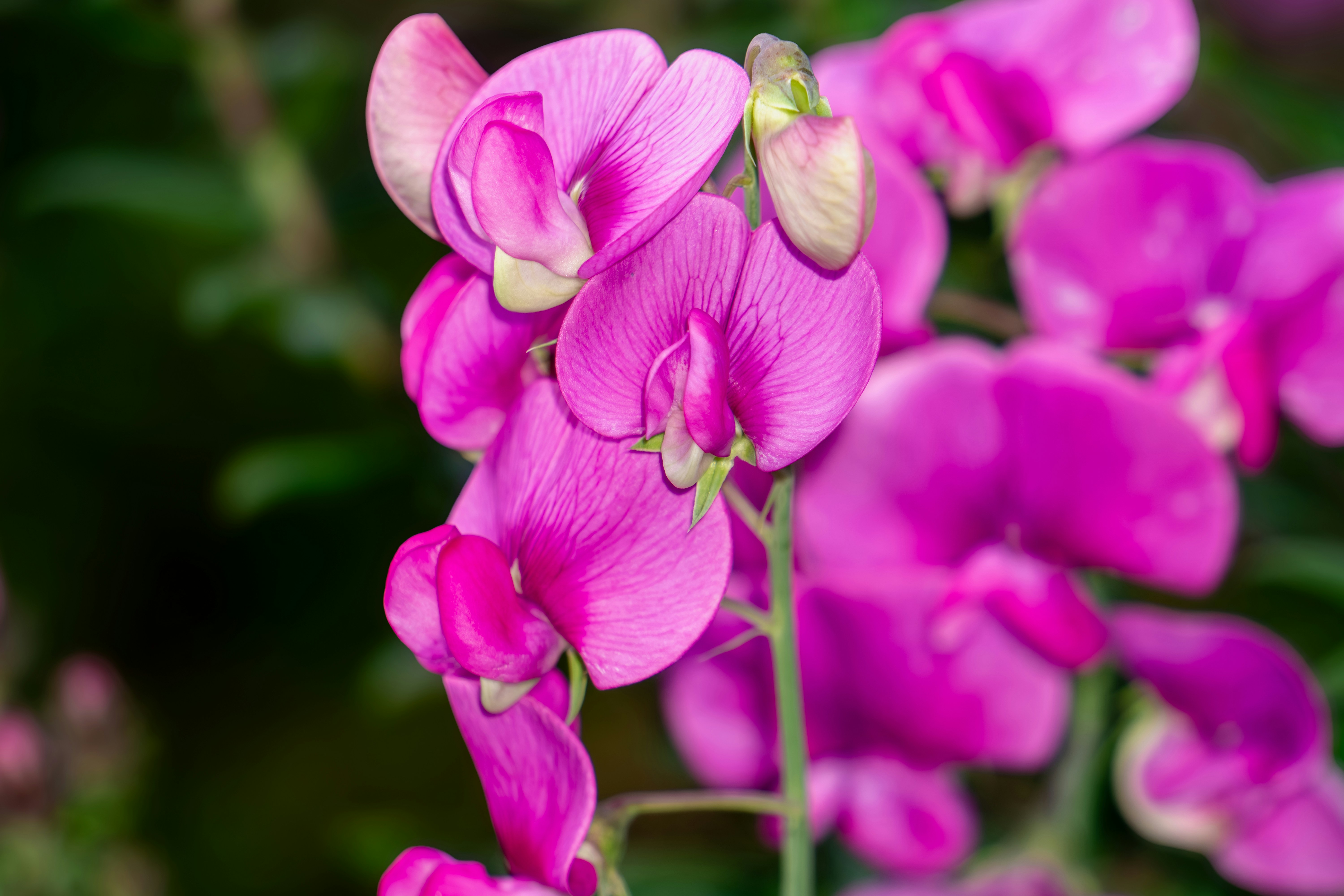 Photo by aravindreddytarugu