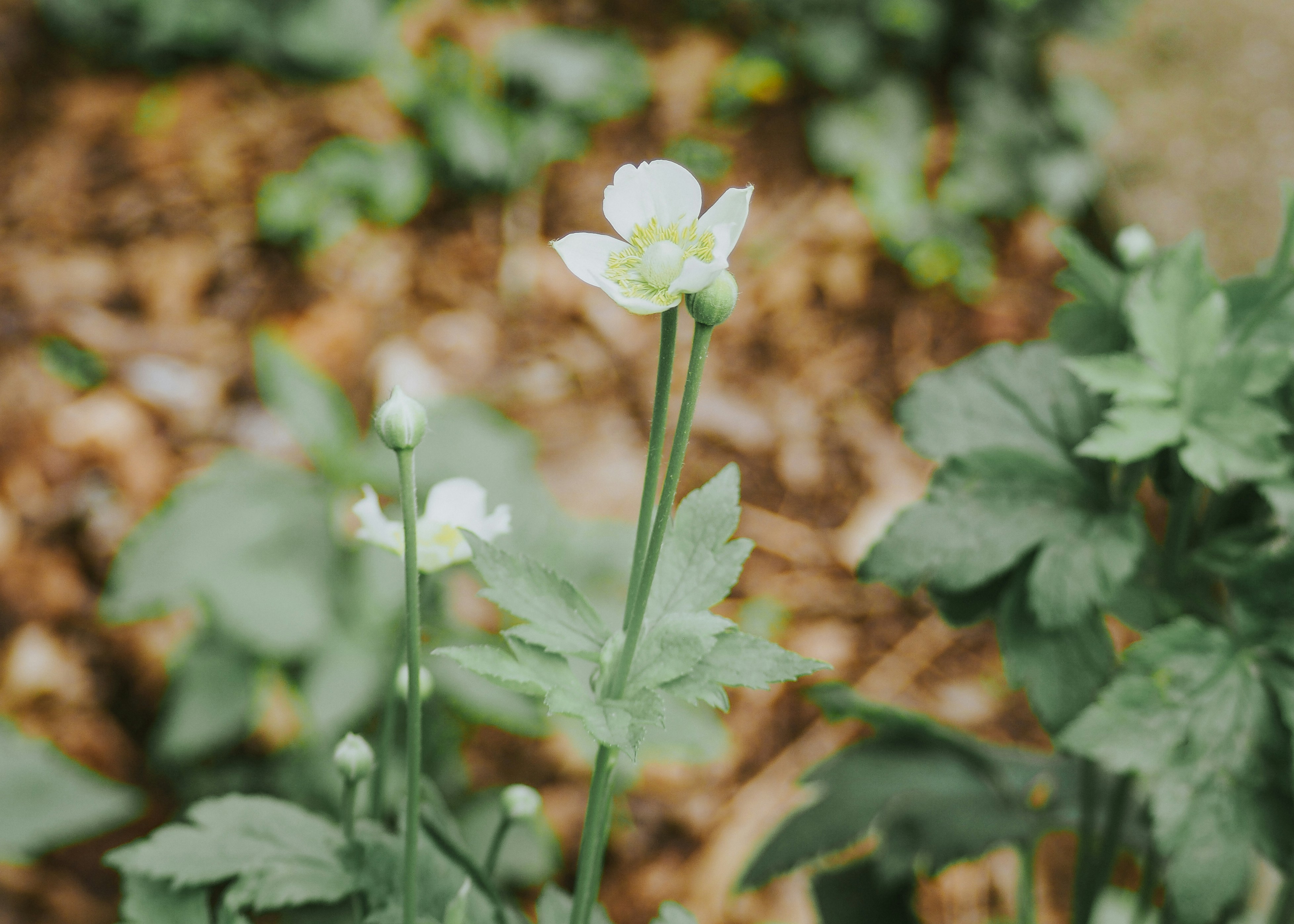 Photo by fieldworkframes