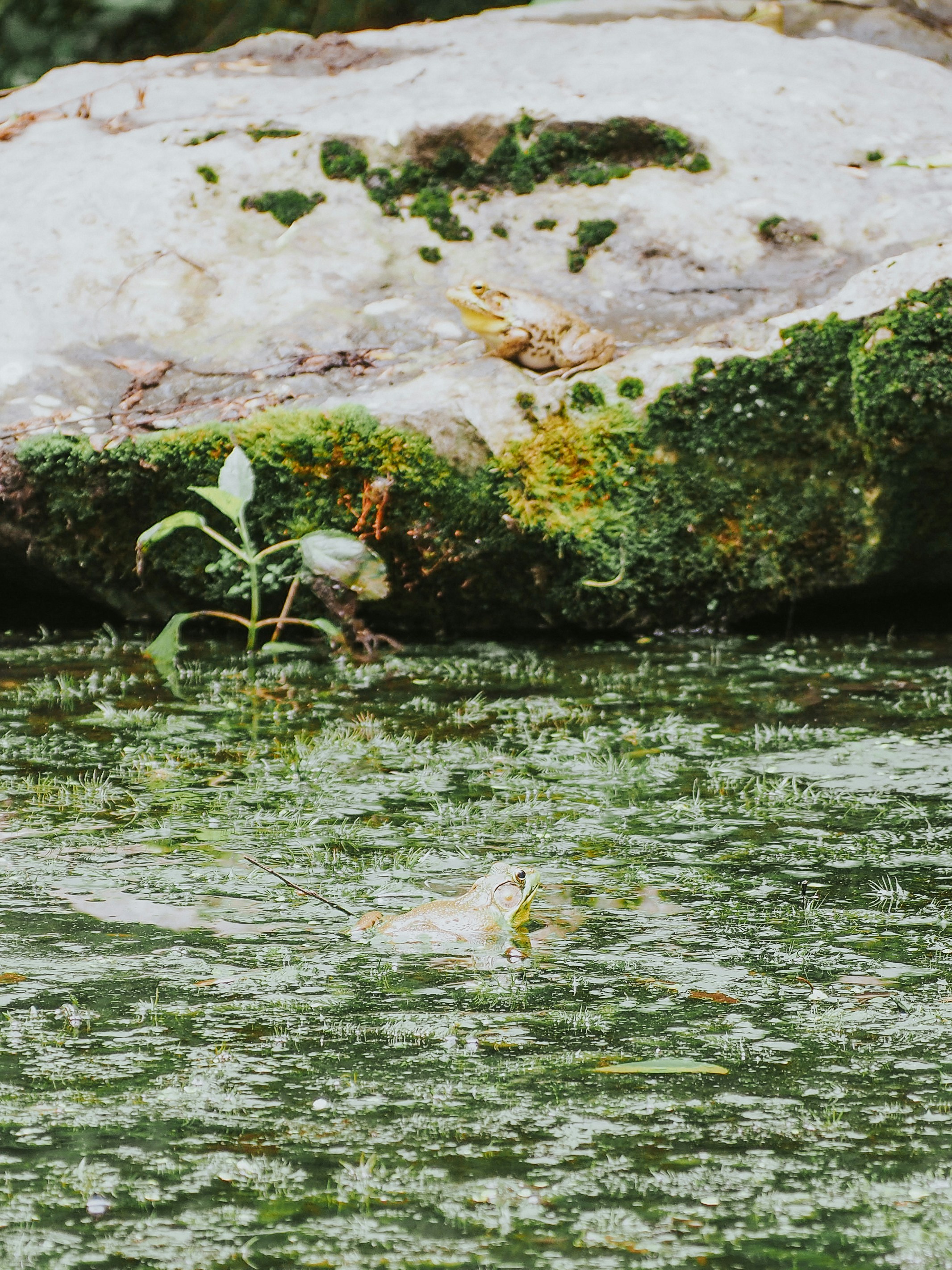 Photo by fieldworkframes