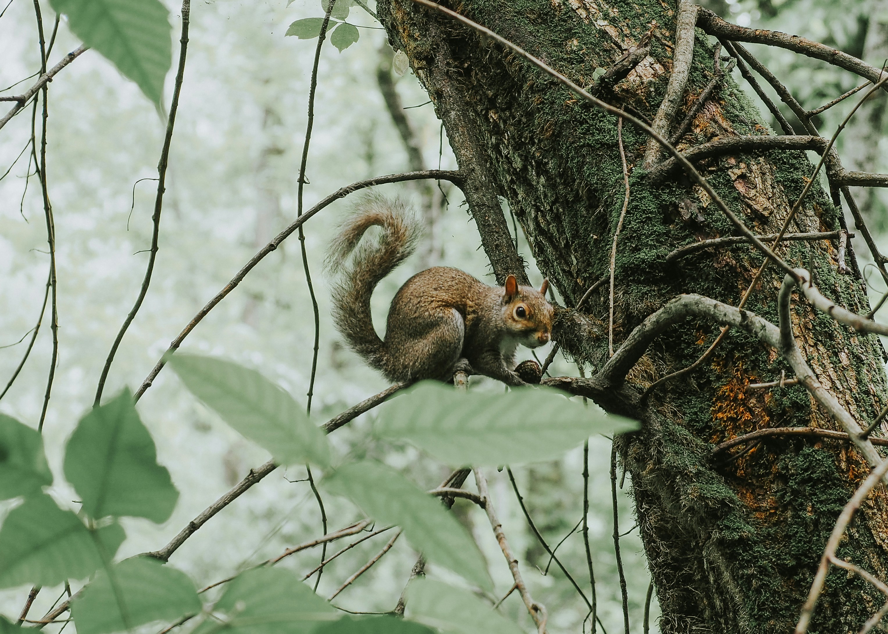 Photo by fieldworkframes