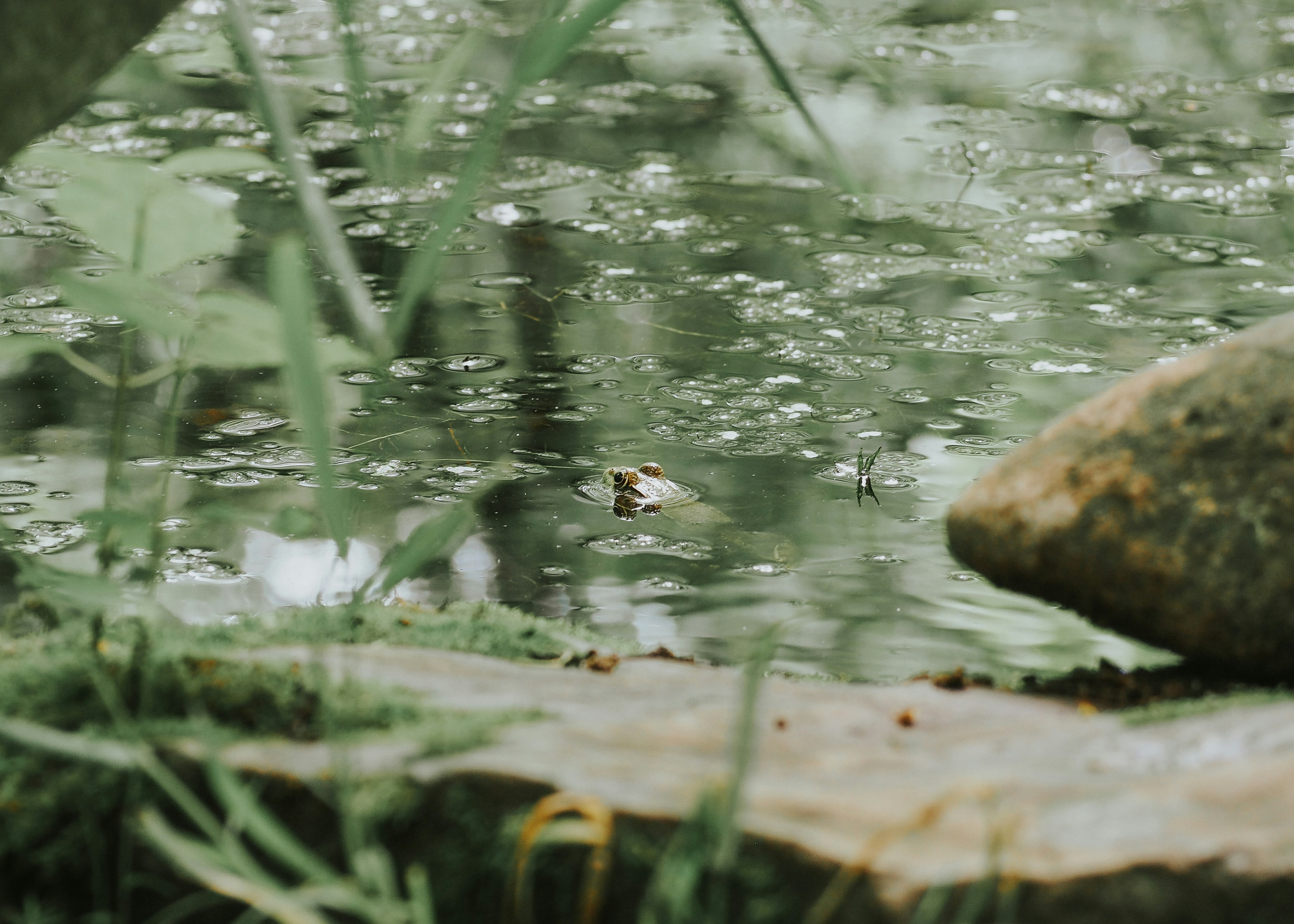 Photo by fieldworkframes