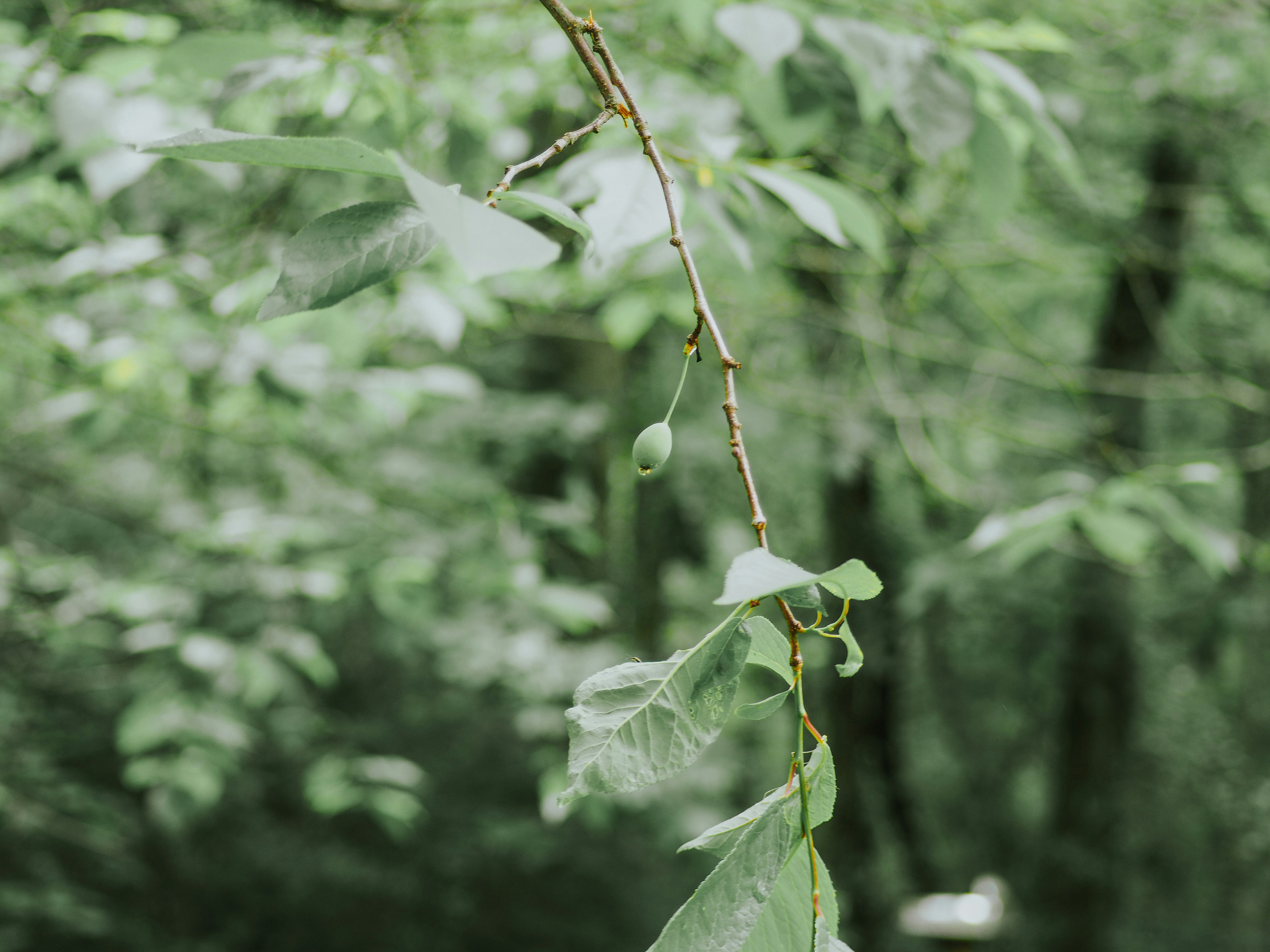 Photo by fieldworkframes