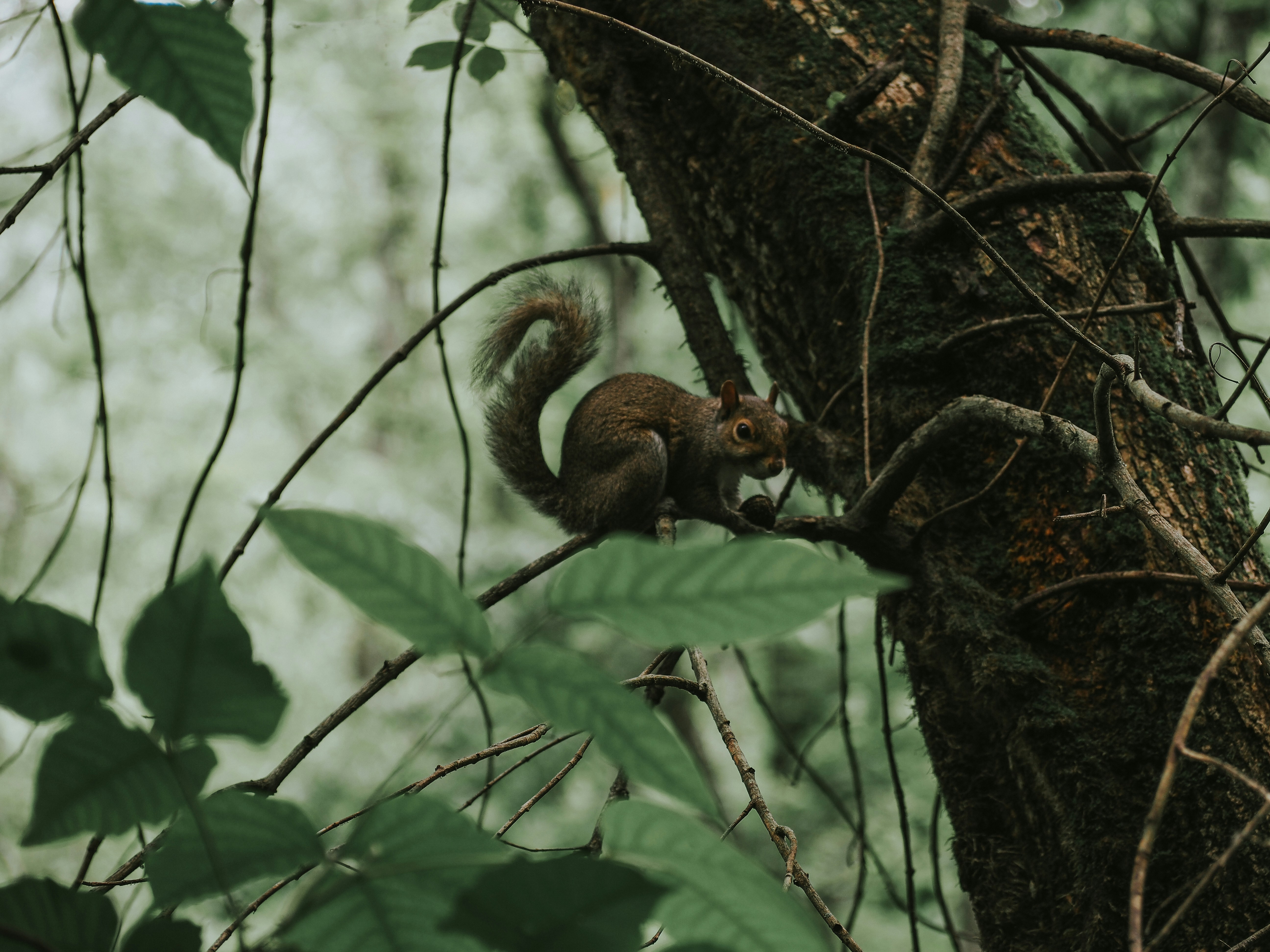 Photo by fieldworkframes