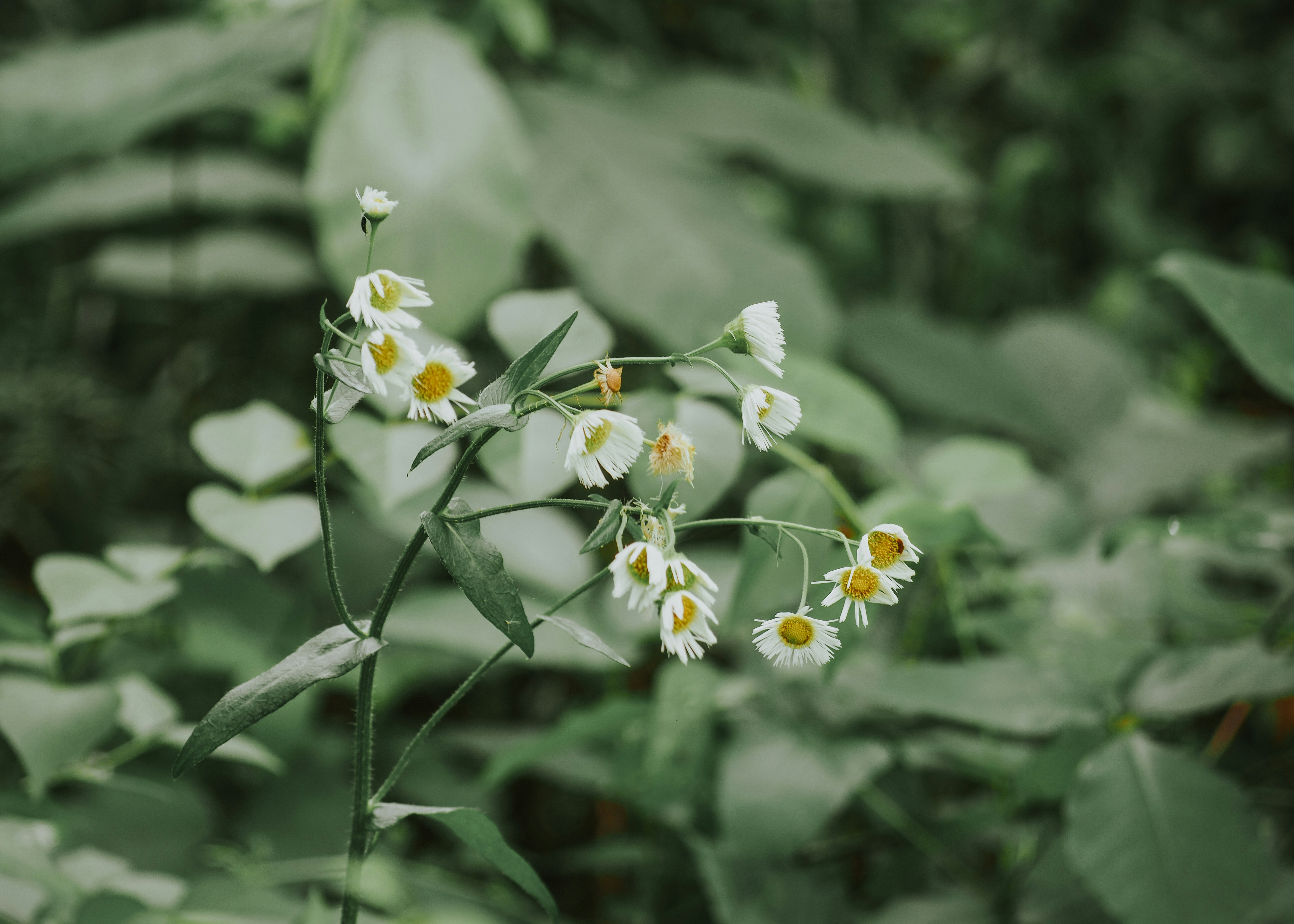 Photo by fieldworkframes