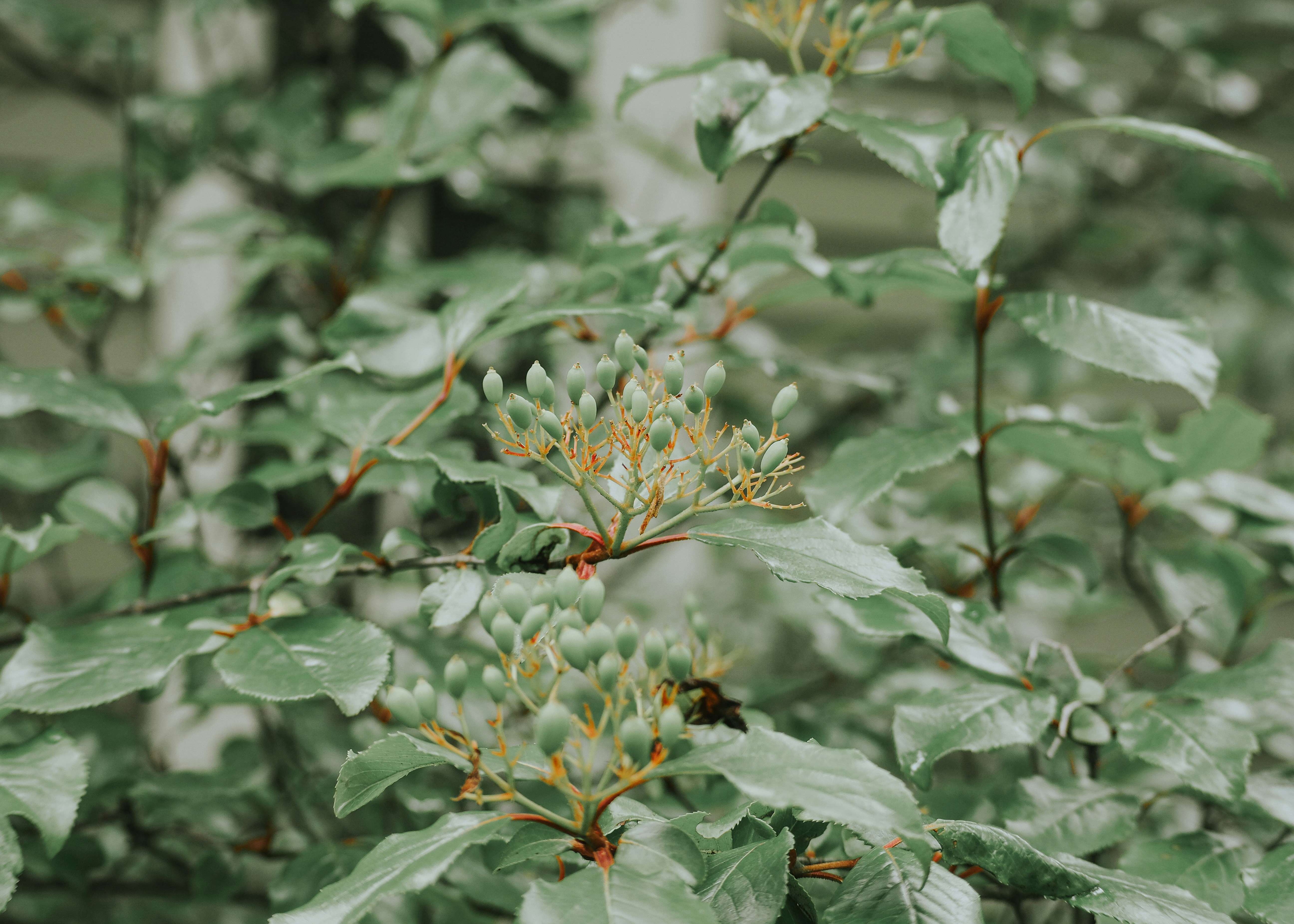 Photo by fieldworkframes