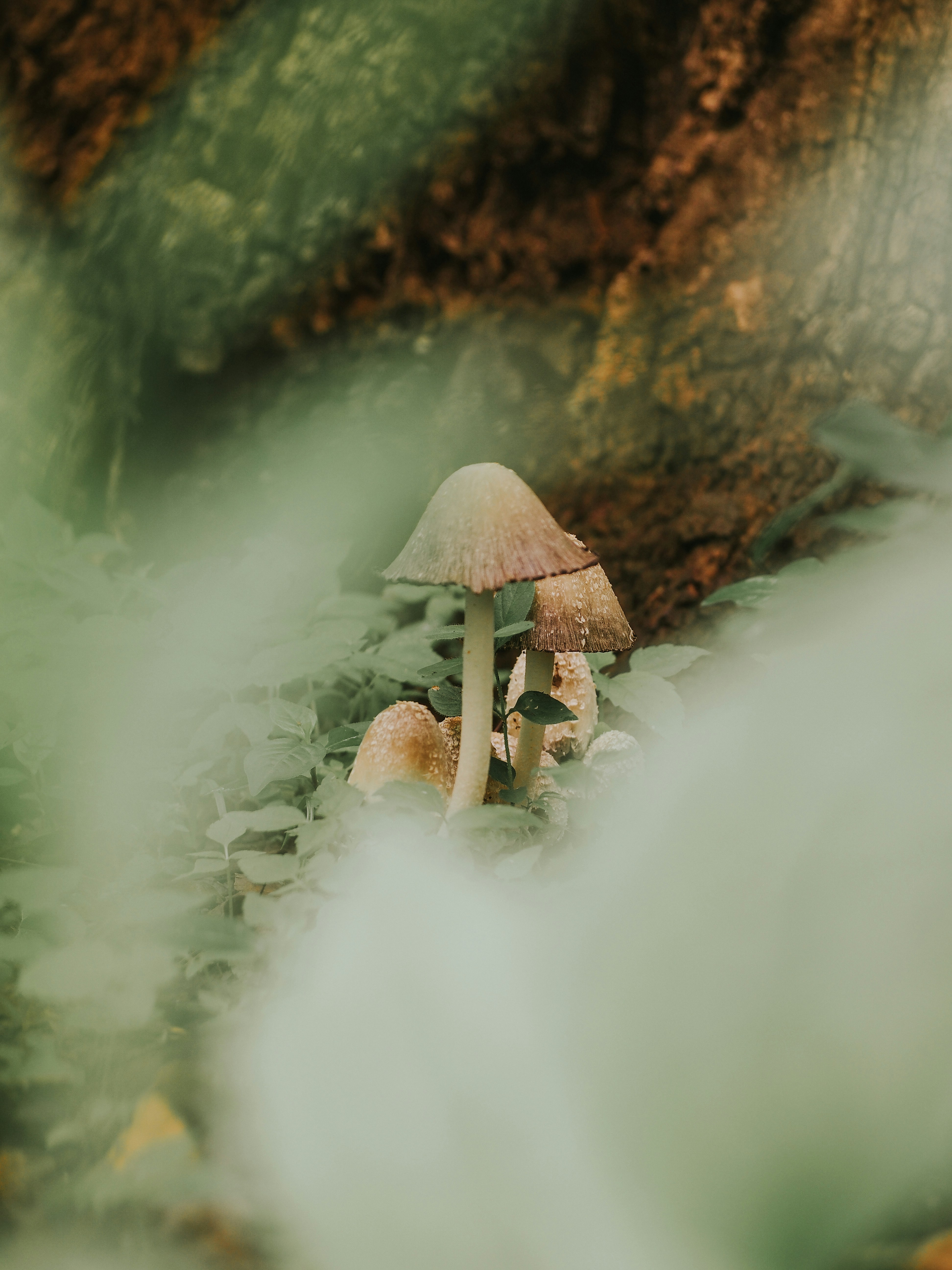 Photo by fieldworkframes