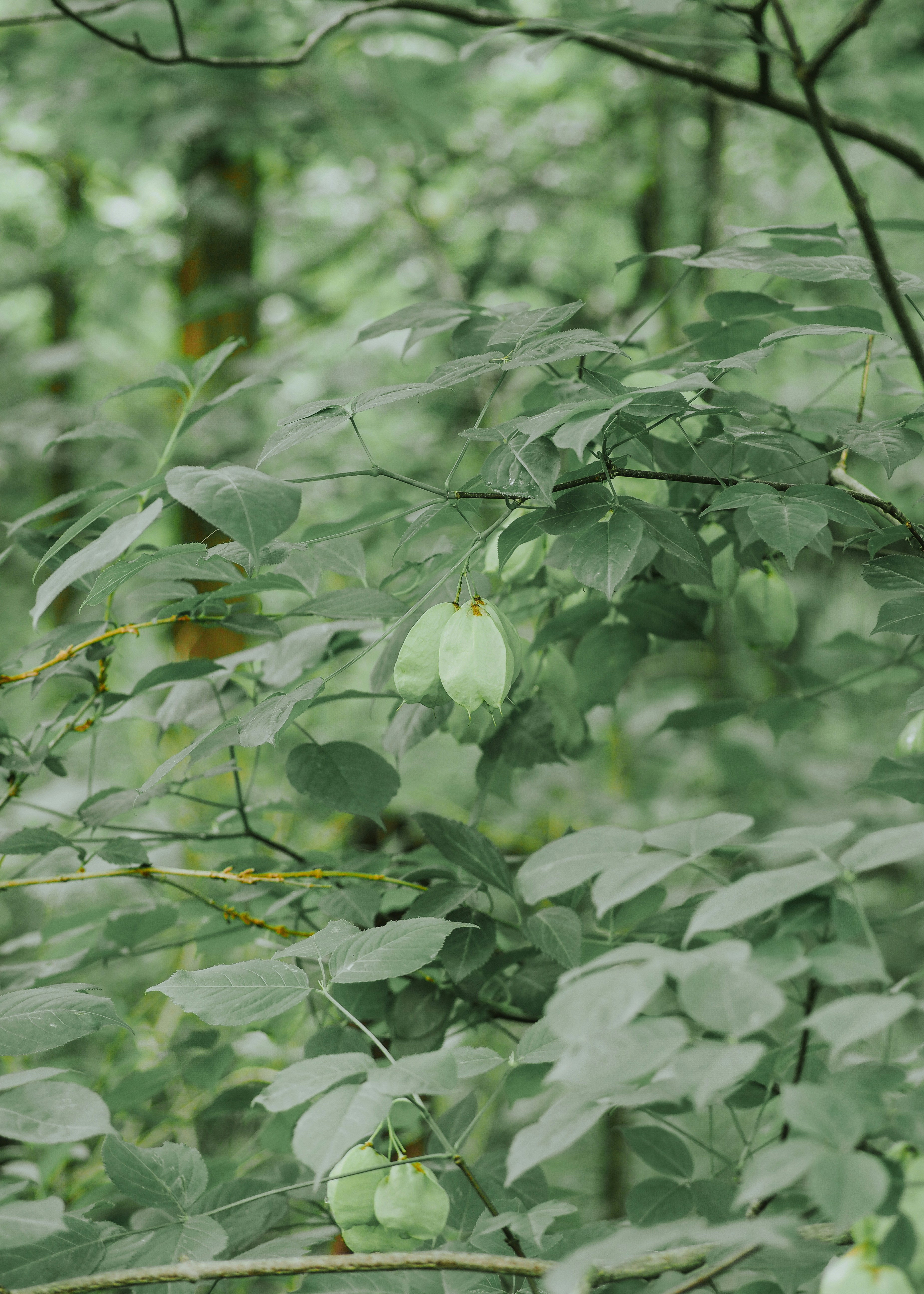 Photo by fieldworkframes