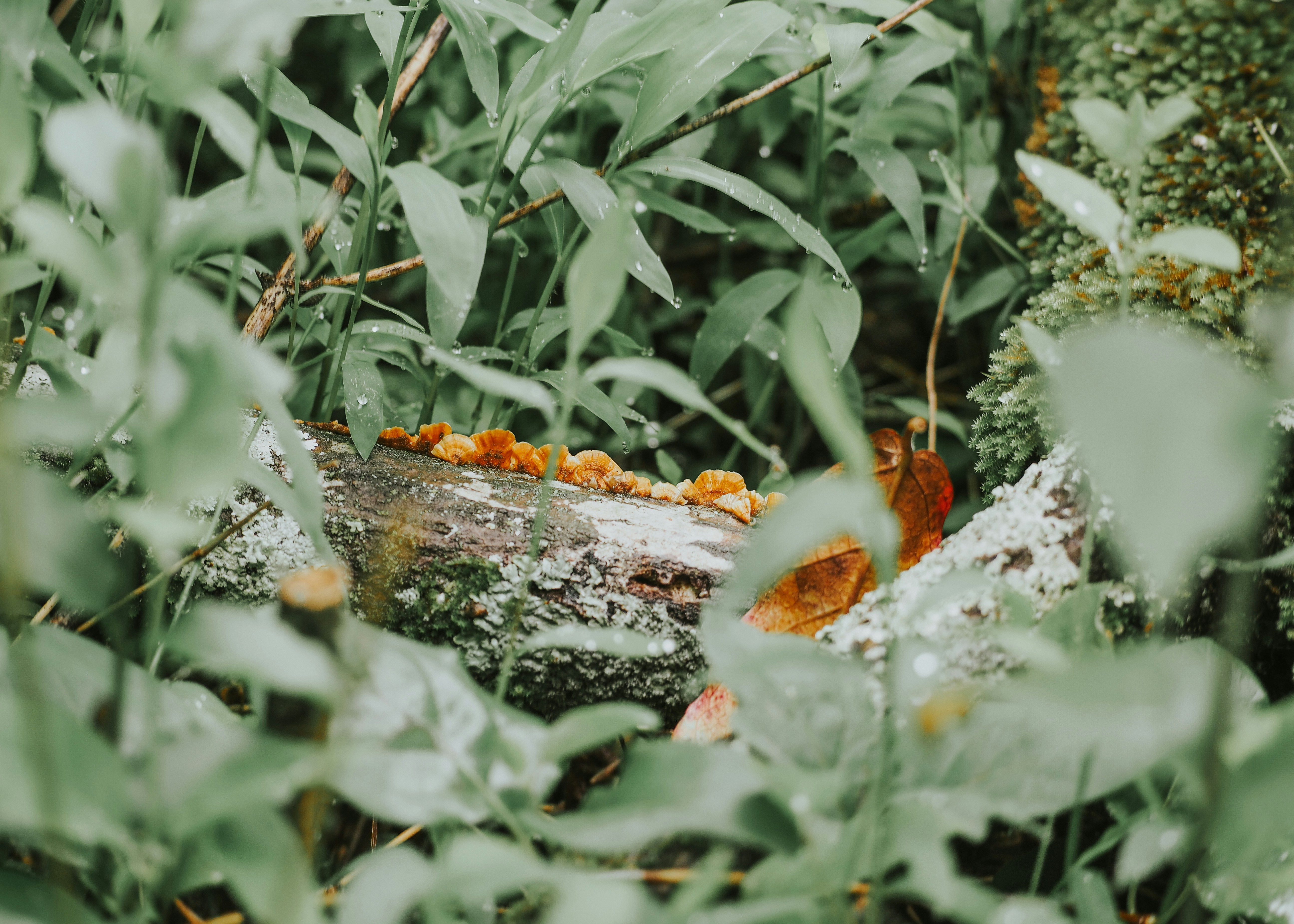 Photo by fieldworkframes