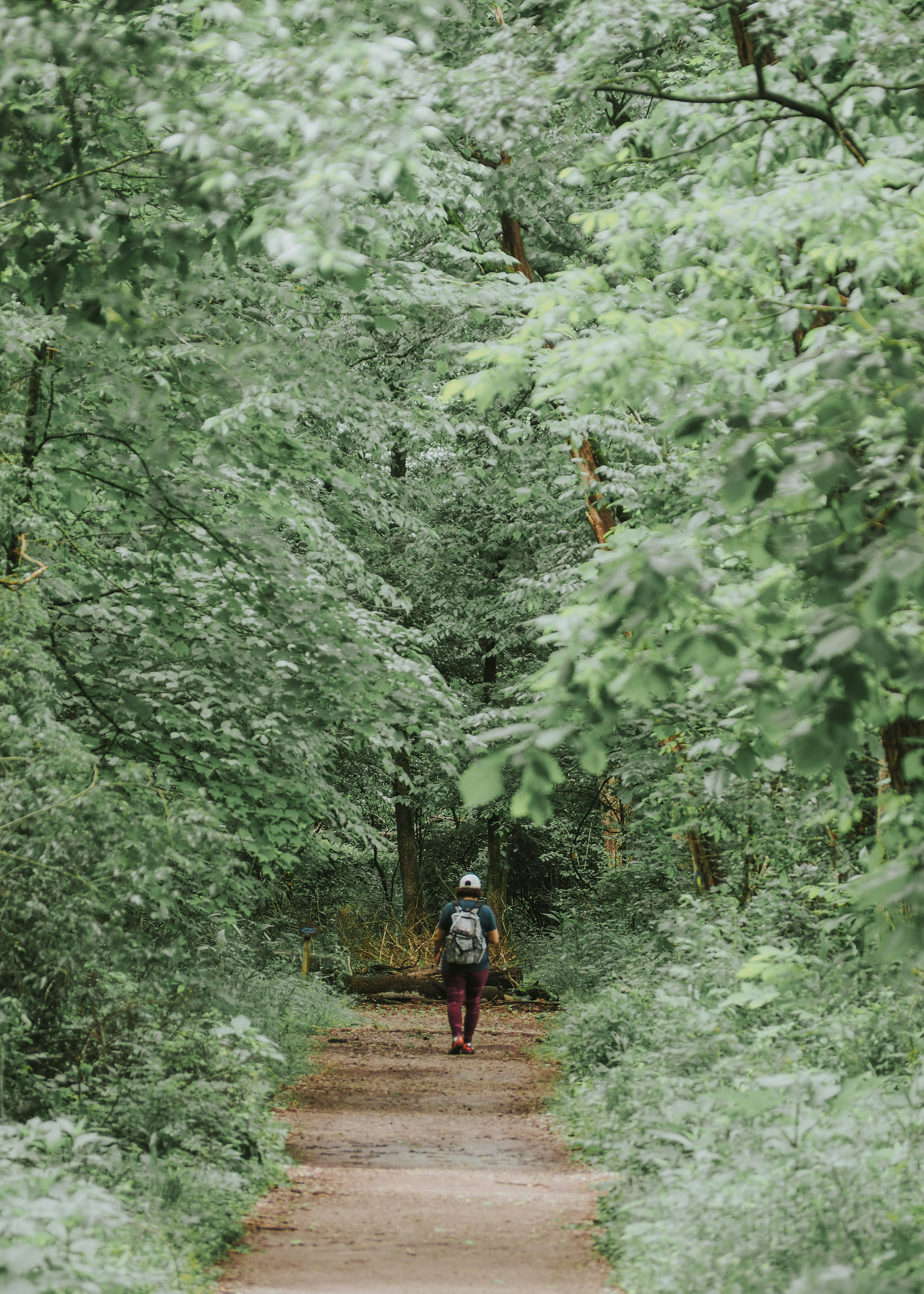 Photo by fieldworkframes