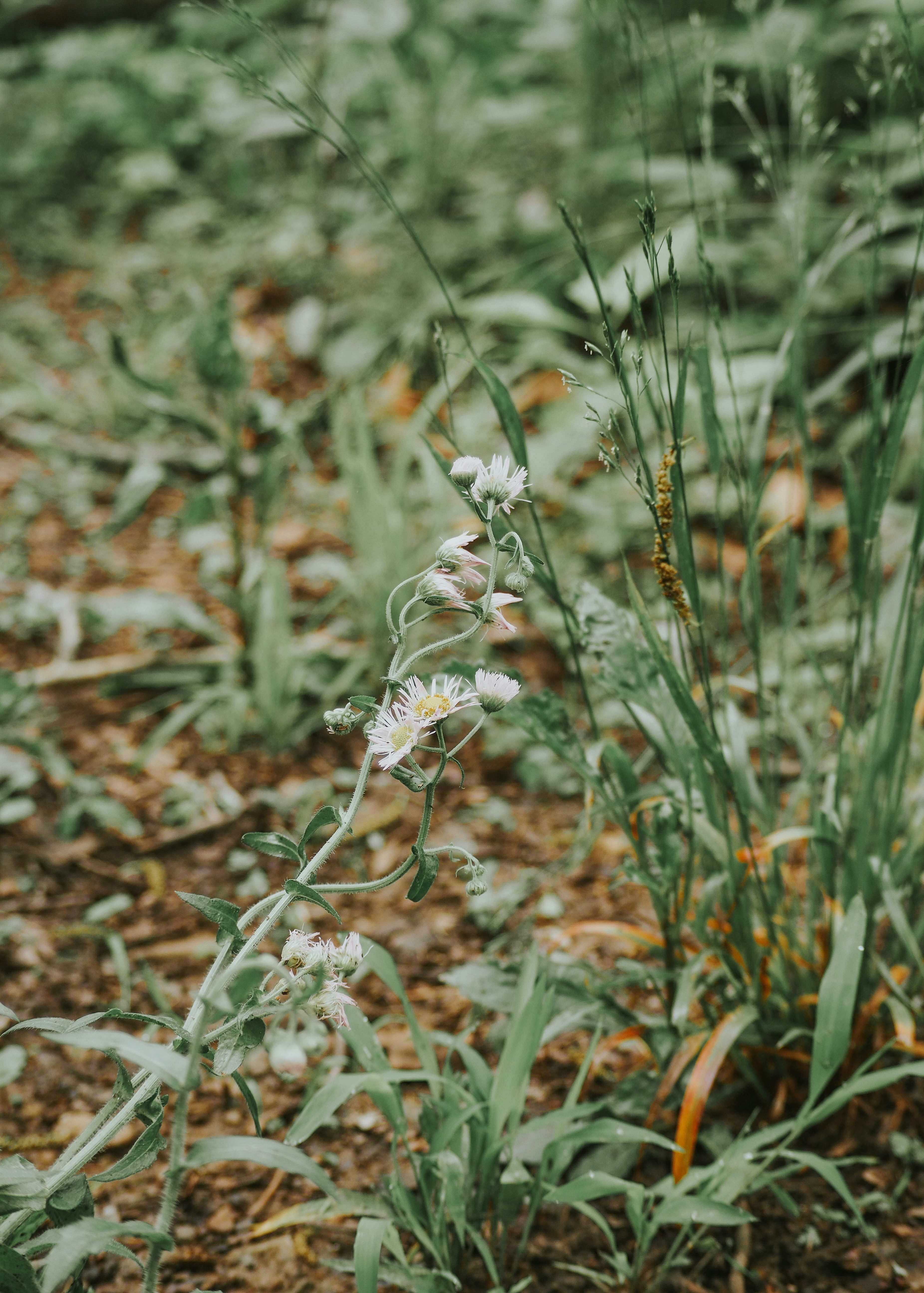 Photo by fieldworkframes