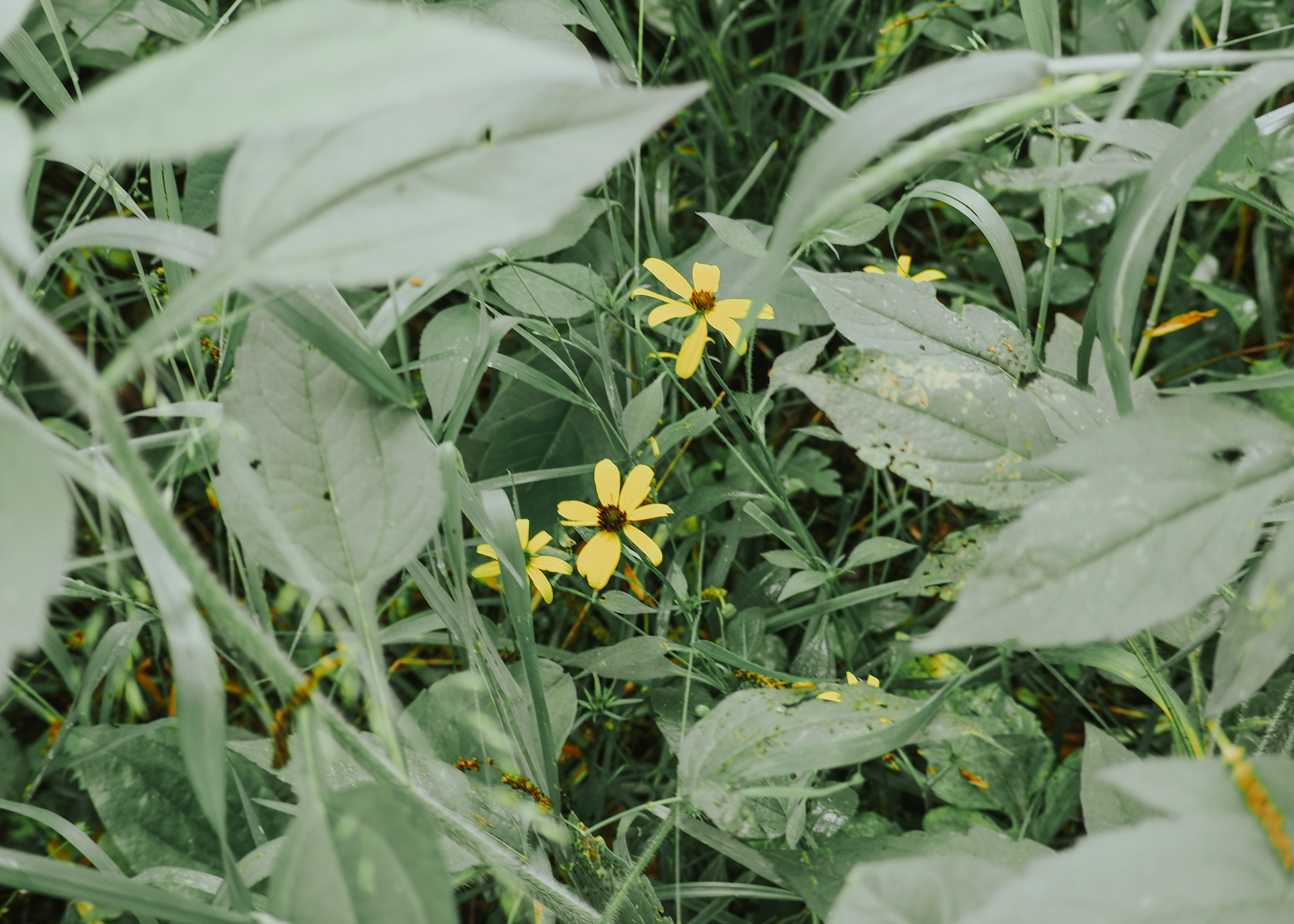 Photo by fieldworkframes