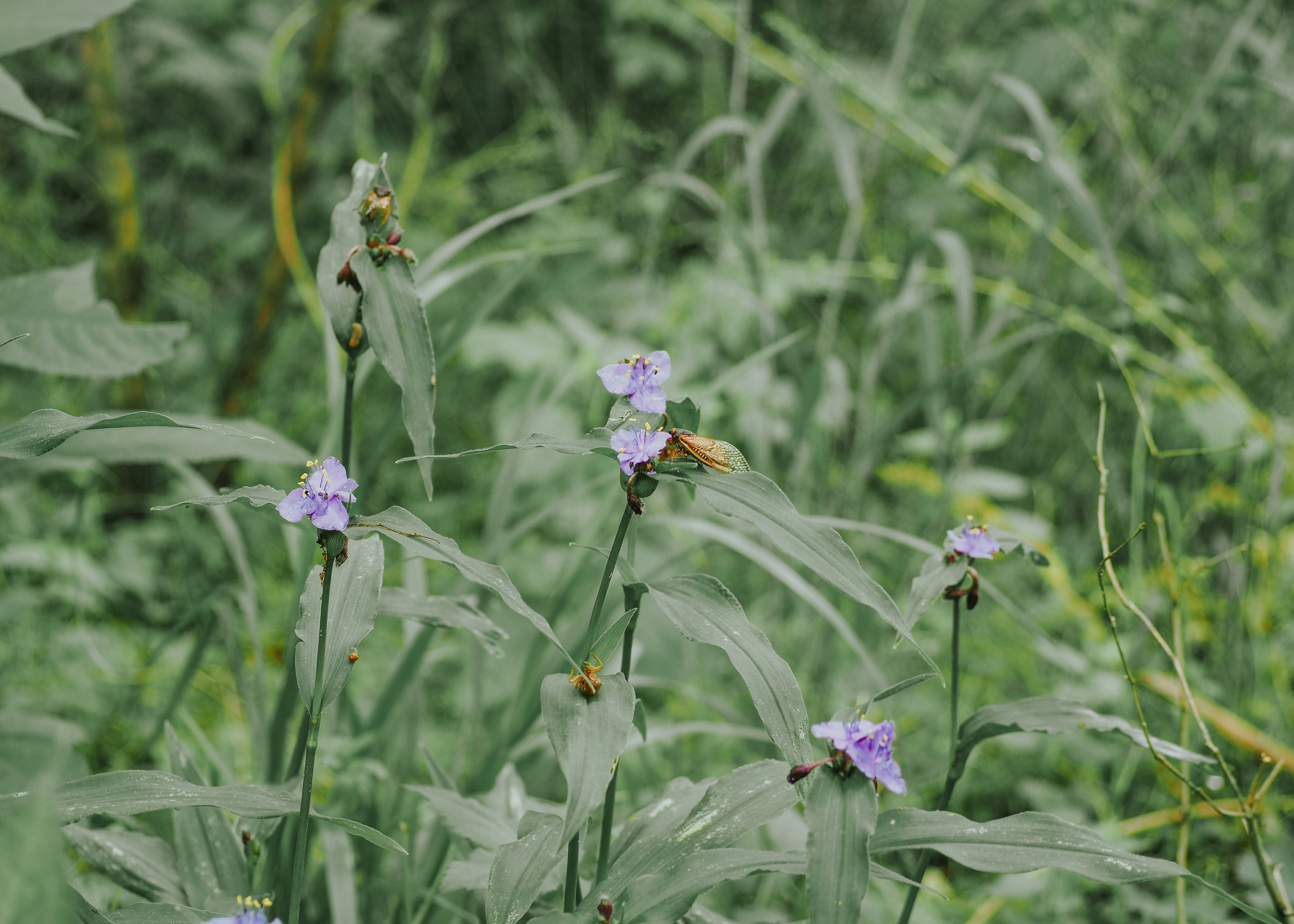 Photo by fieldworkframes