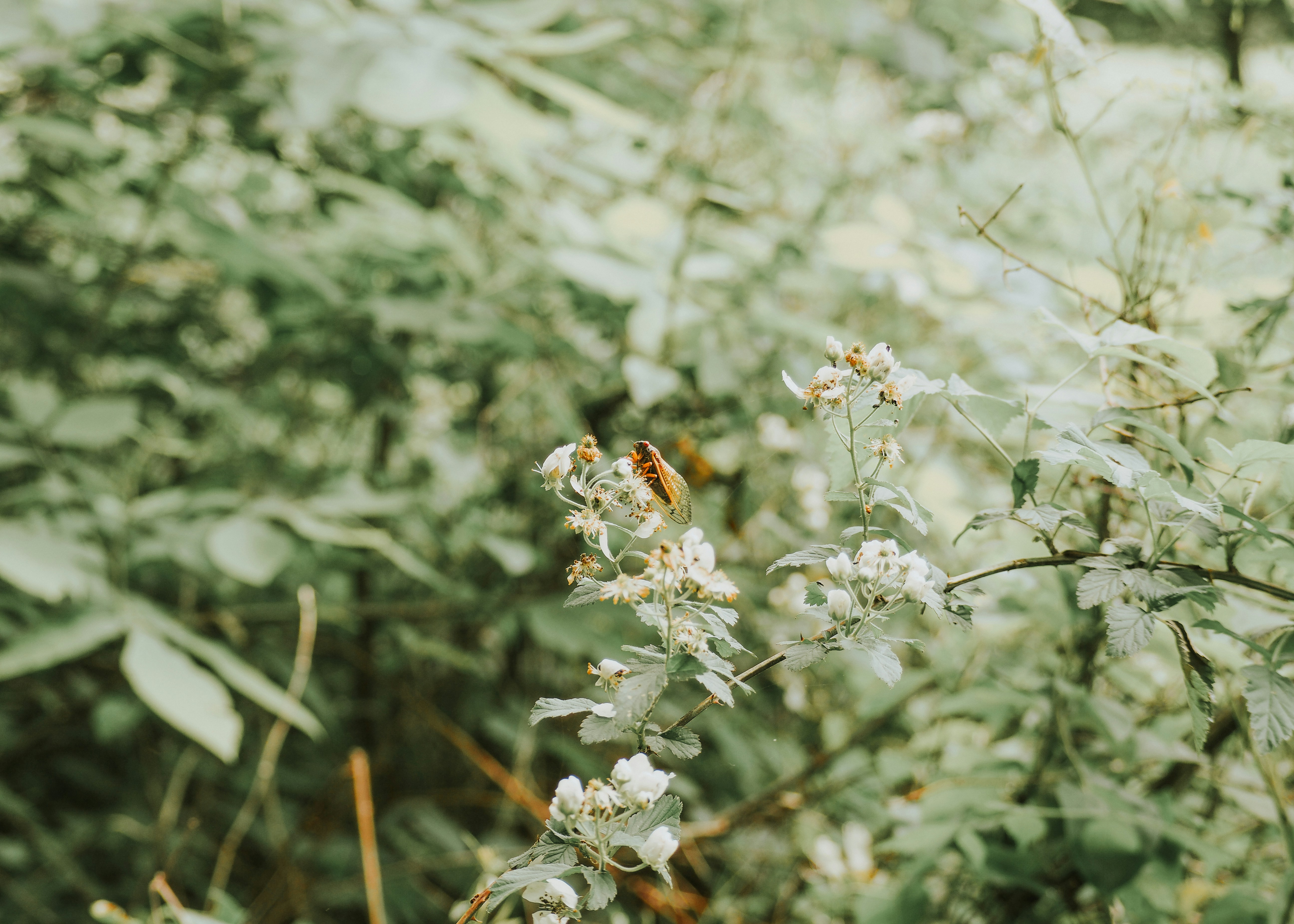 Photo by fieldworkframes