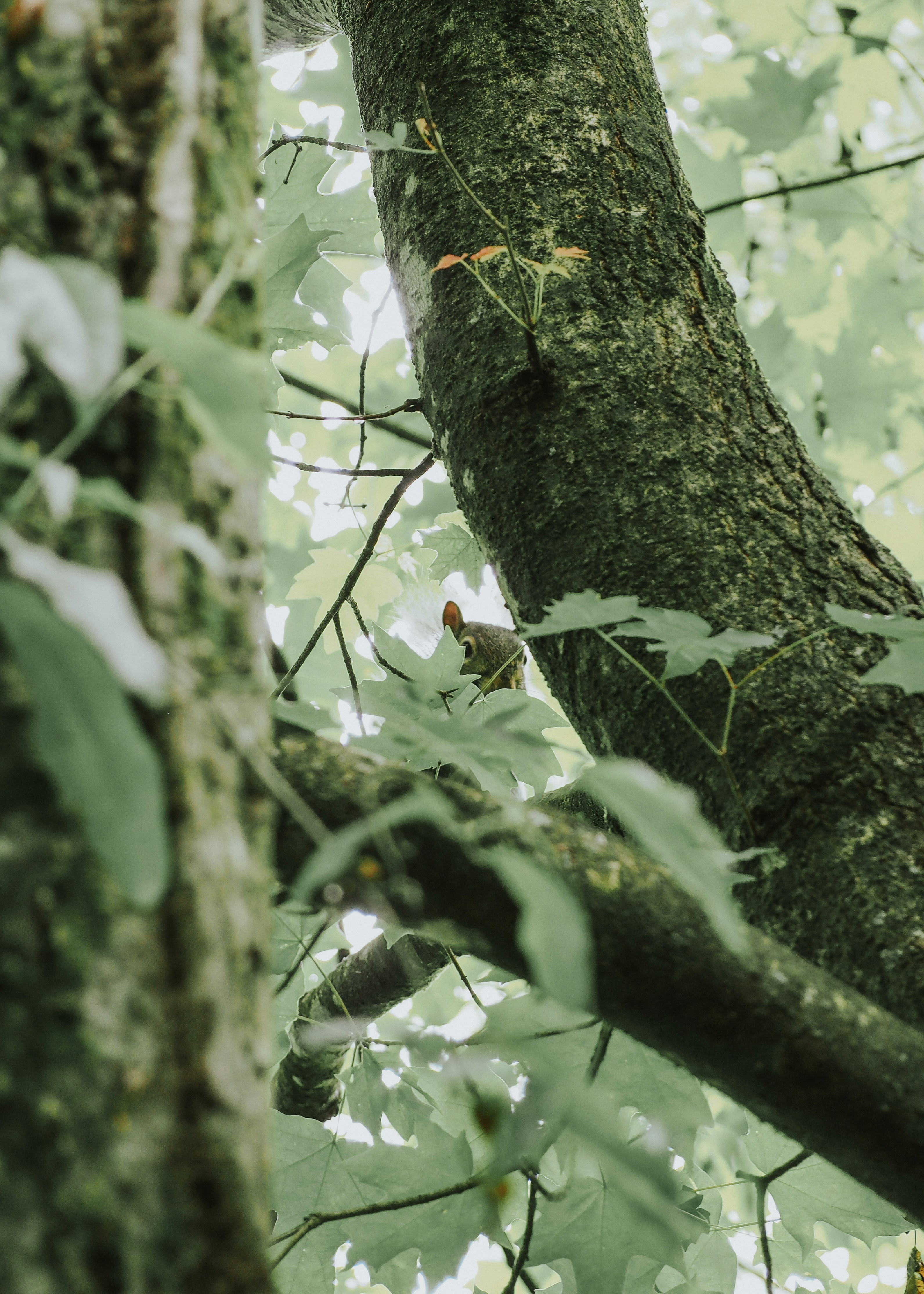 Photo by fieldworkframes