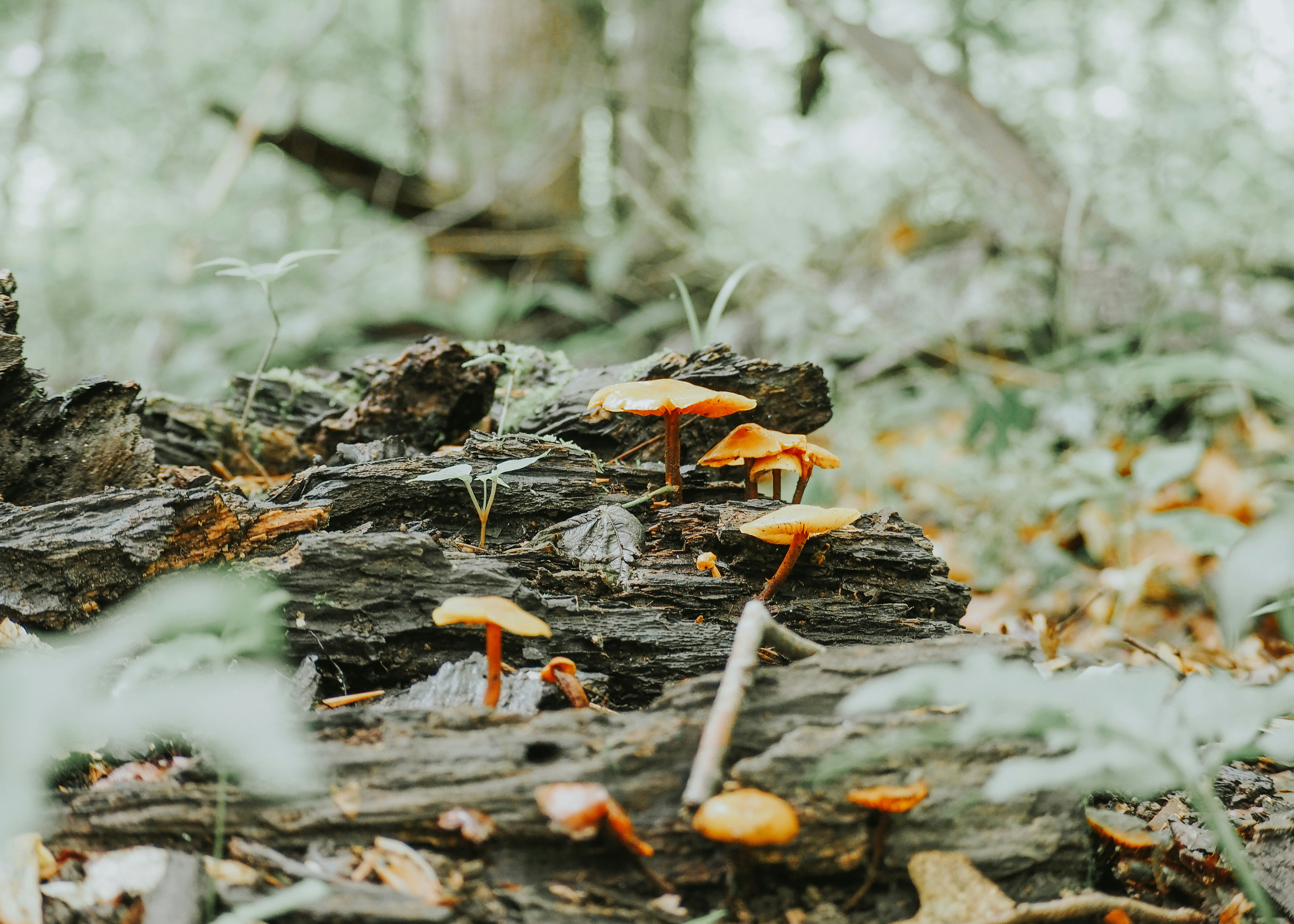 Photo by fieldworkframes