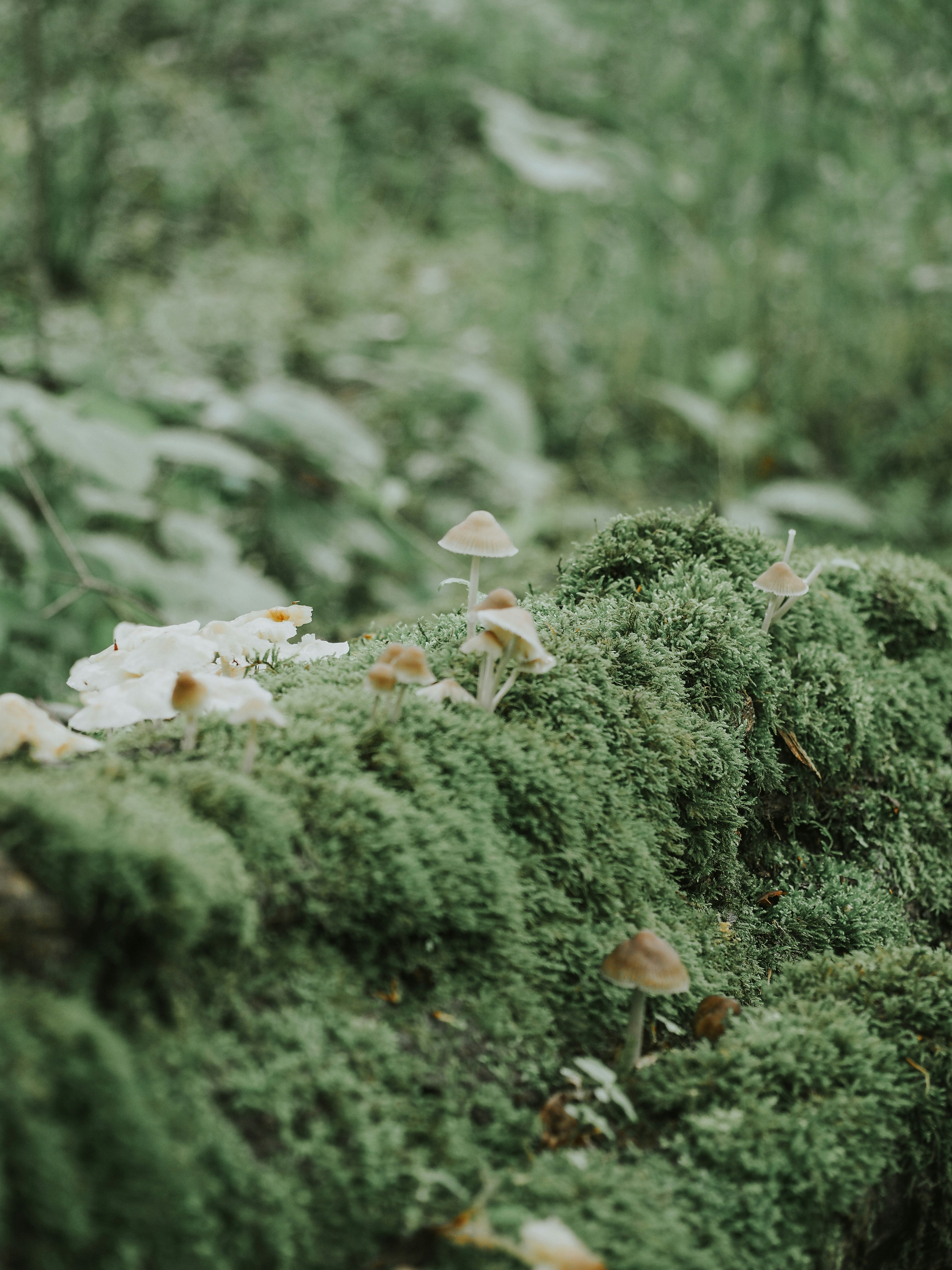 Photo by fieldworkframes