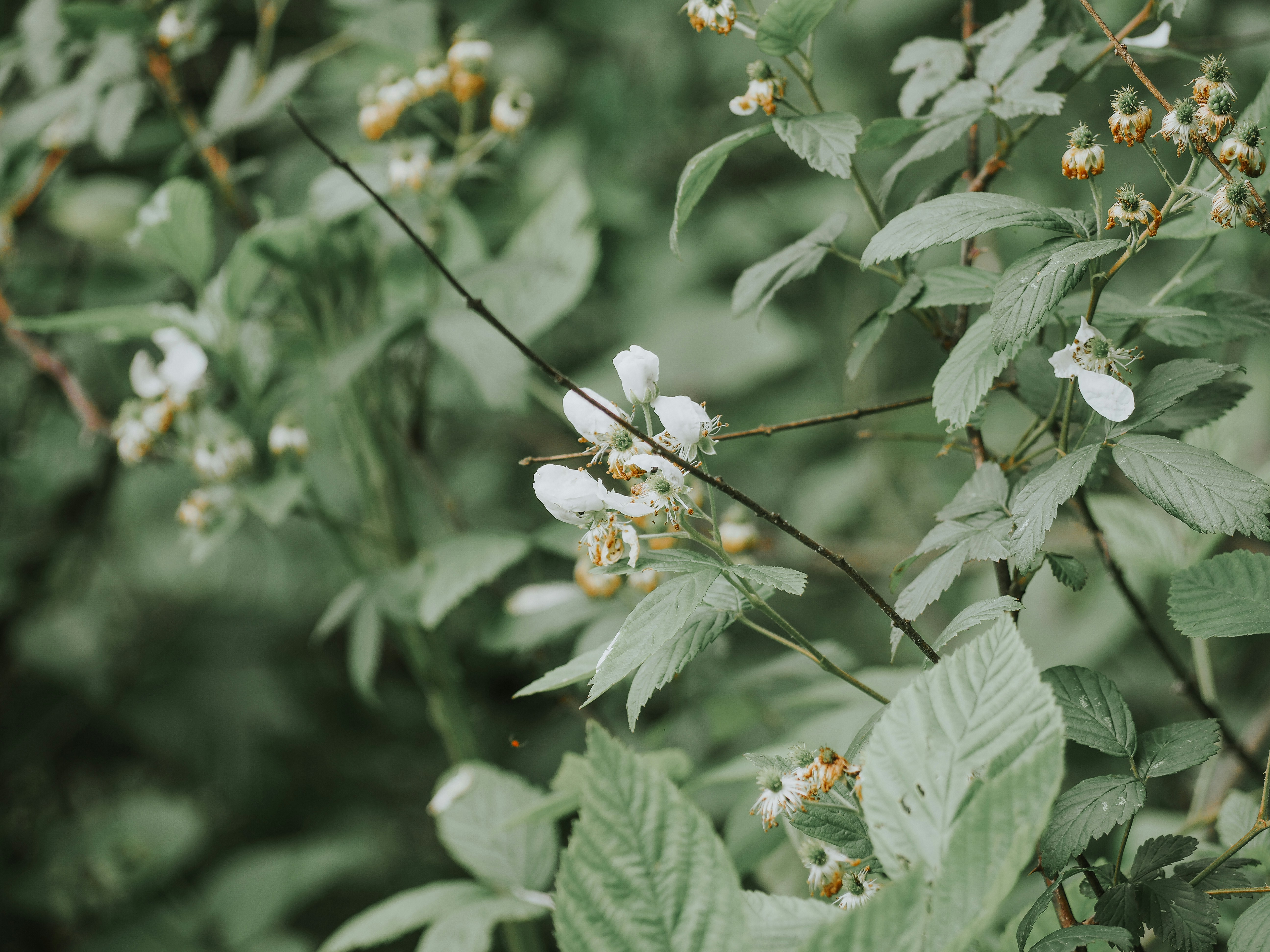 Photo by fieldworkframes