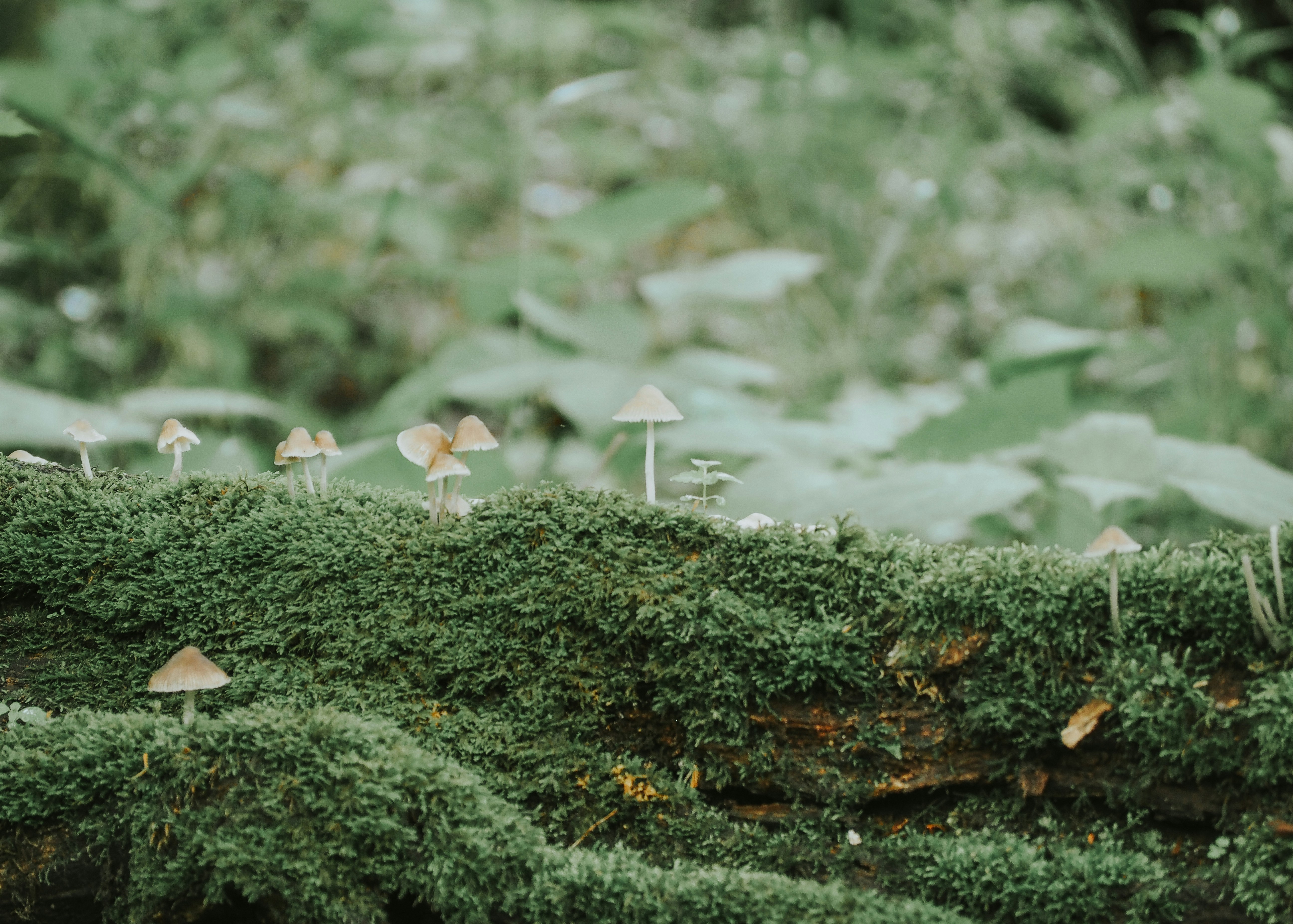 Photo by fieldworkframes