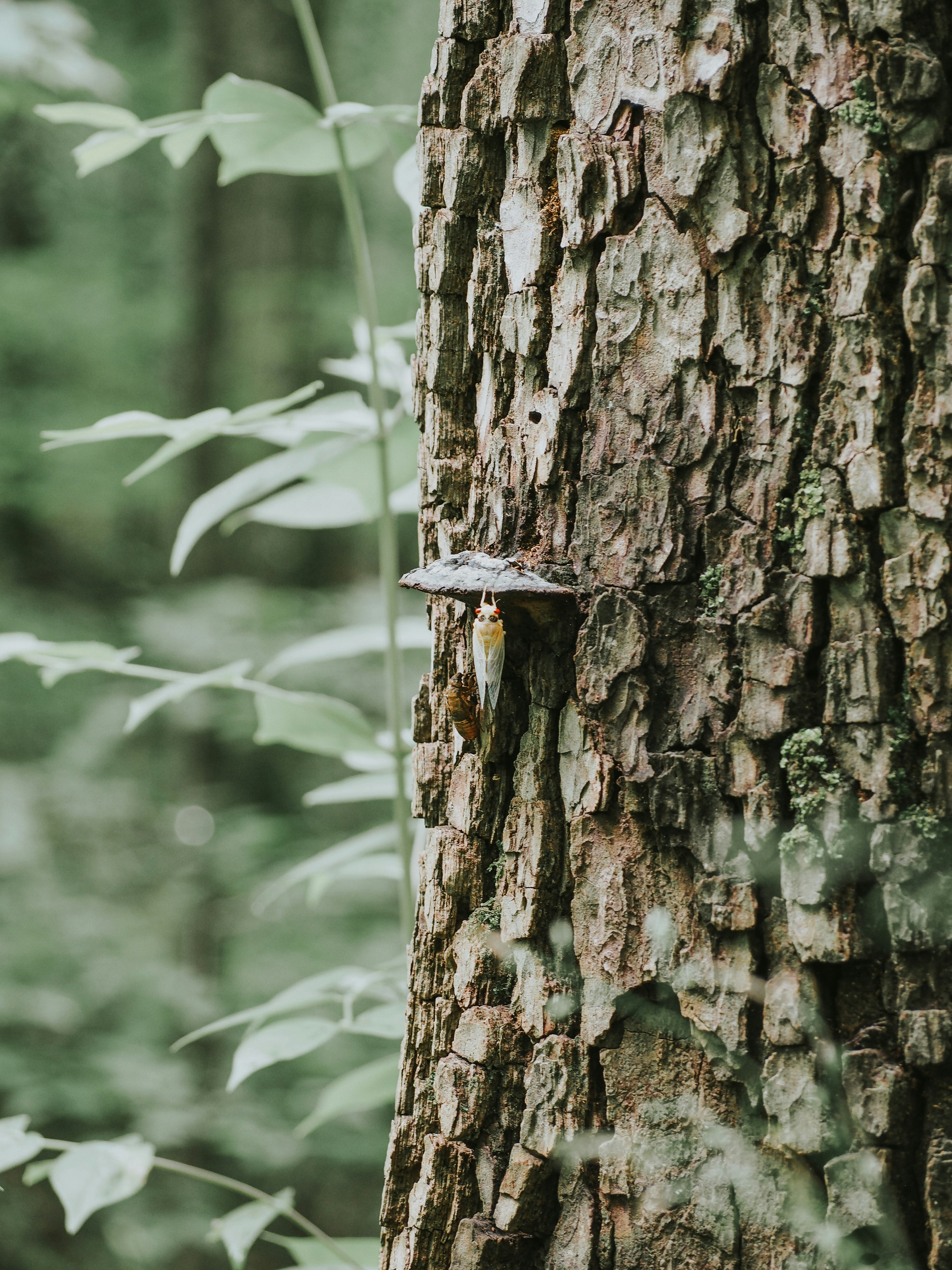 Photo by fieldworkframes