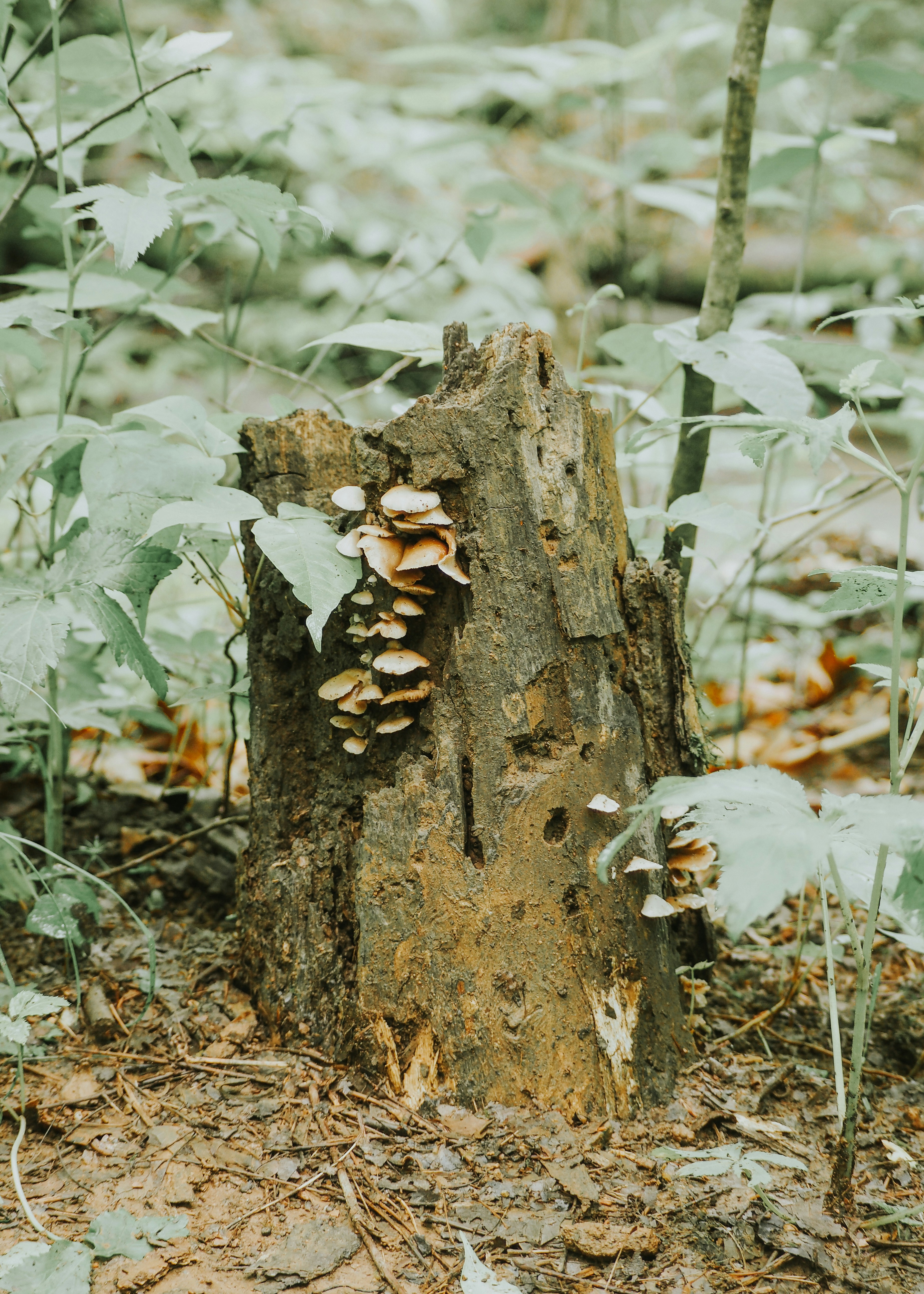 Photo by fieldworkframes