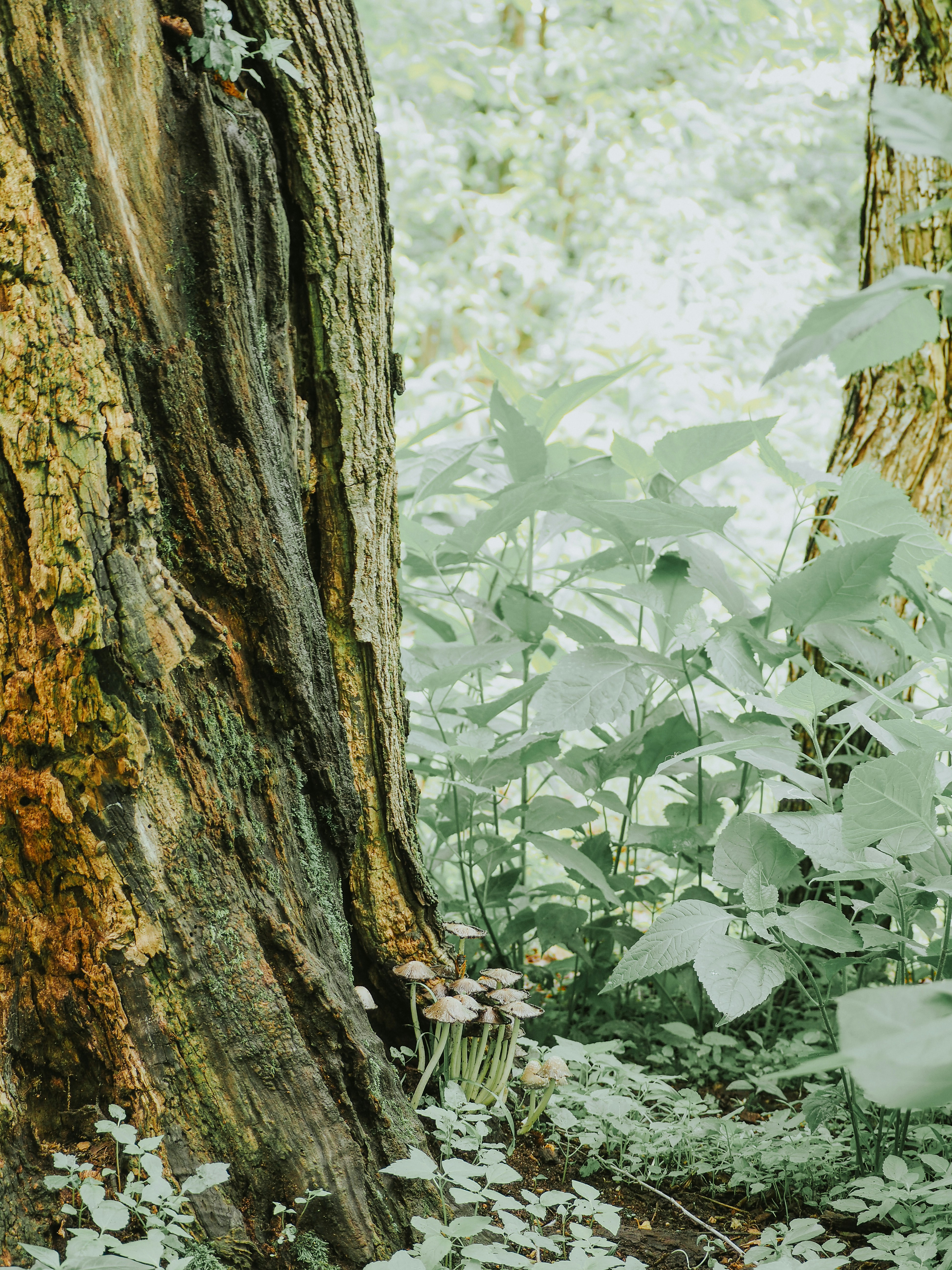 Photo by fieldworkframes