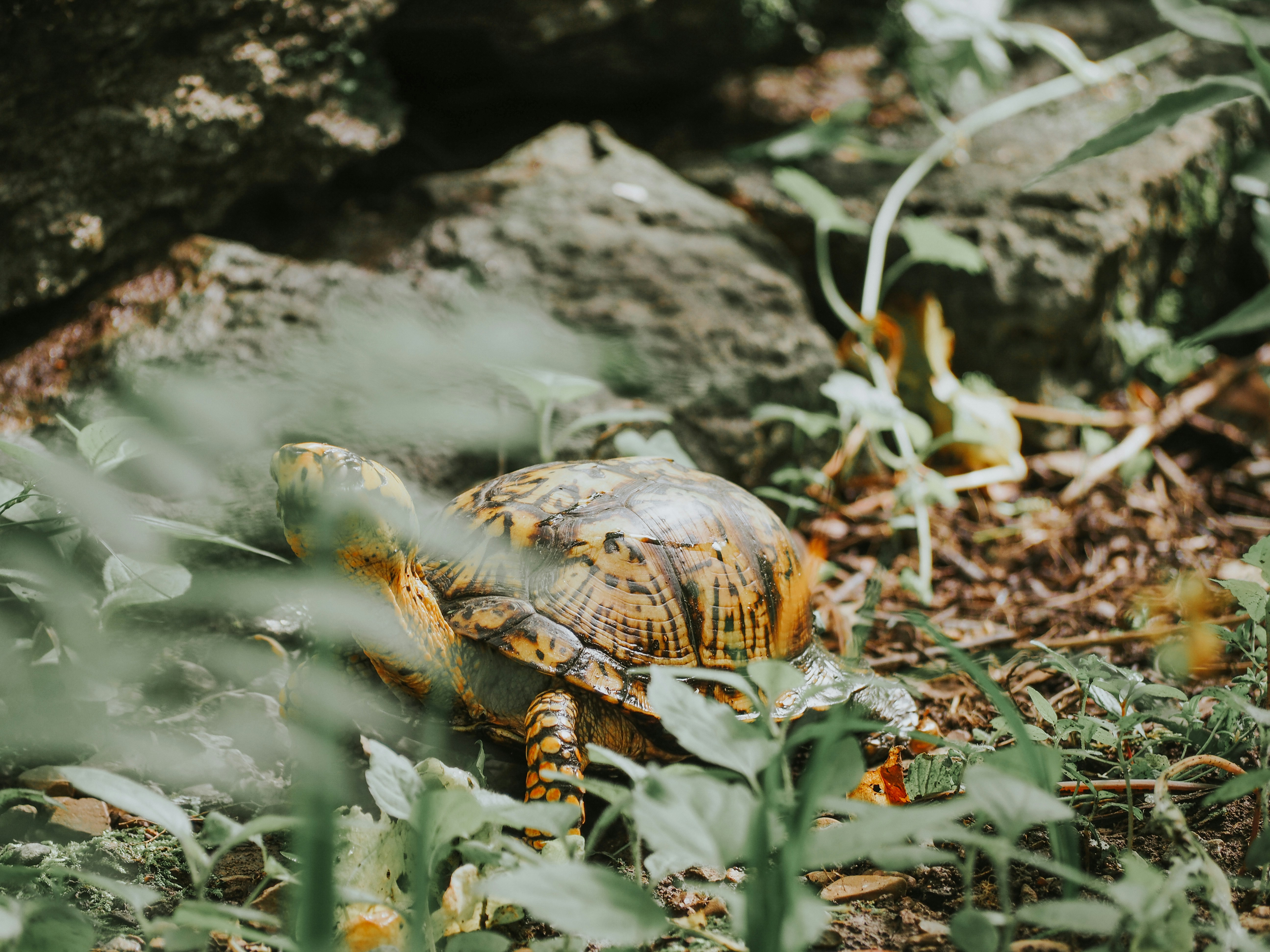 Photo by fieldworkframes