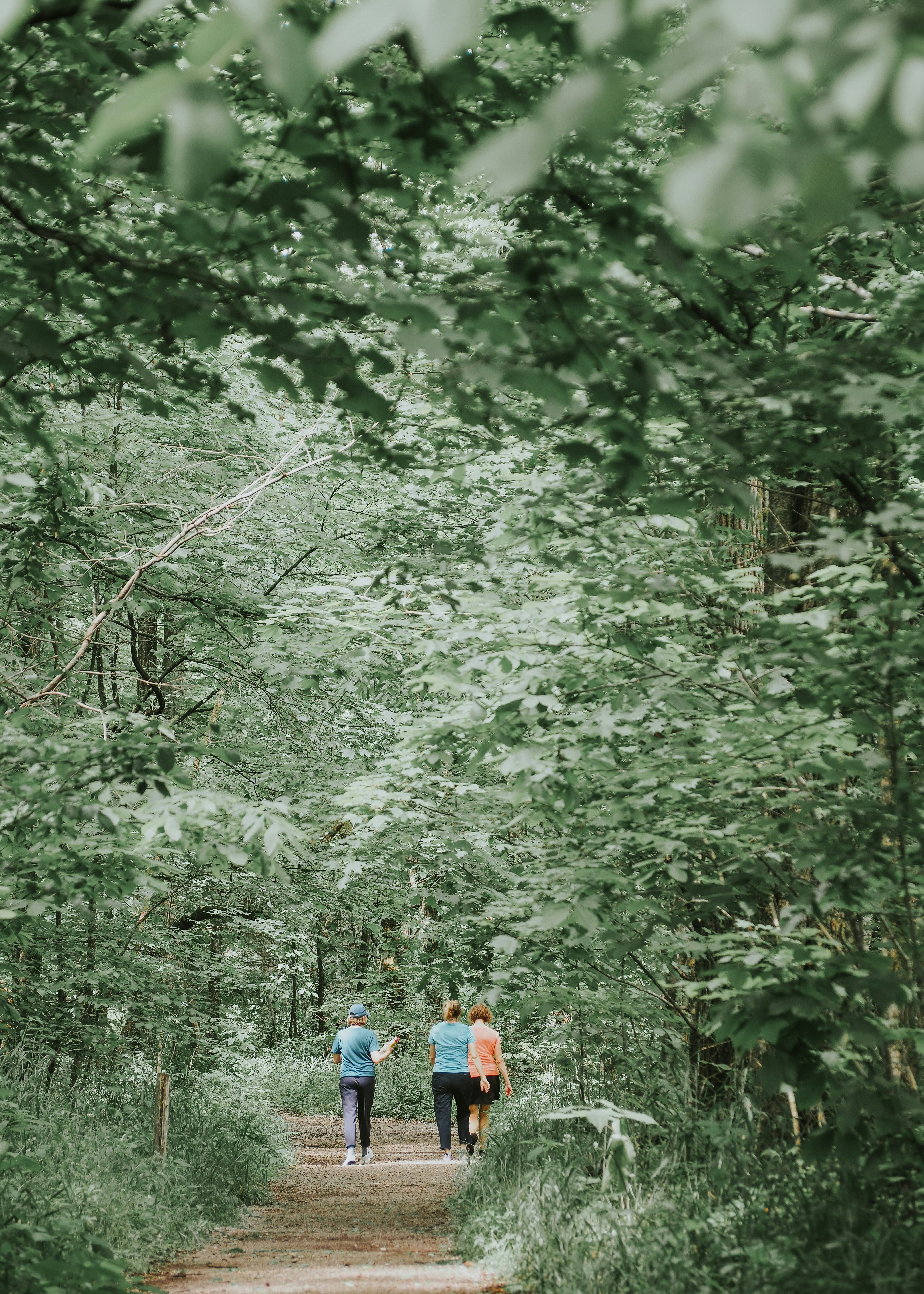 Photo by fieldworkframes