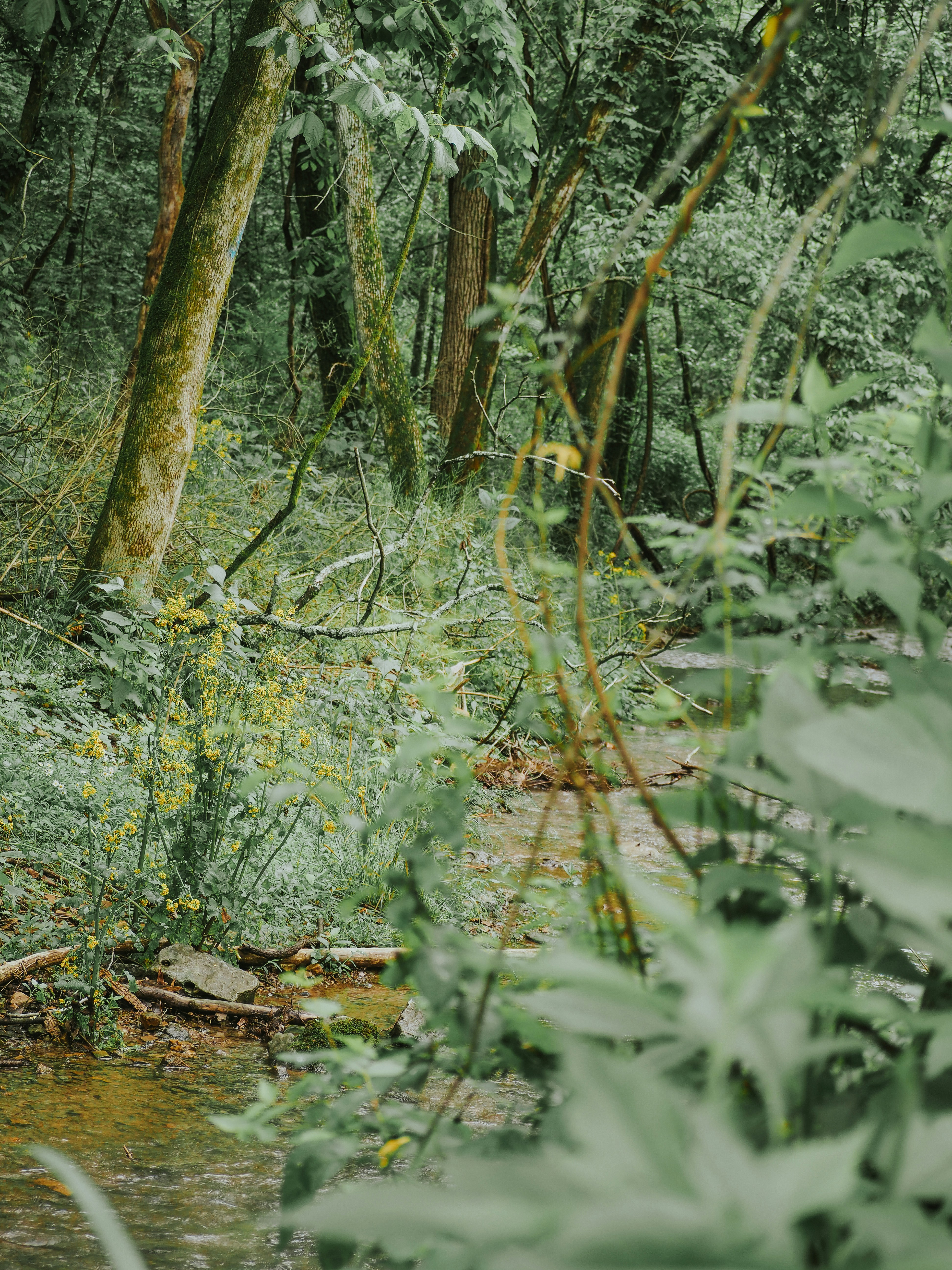 Photo by fieldworkframes