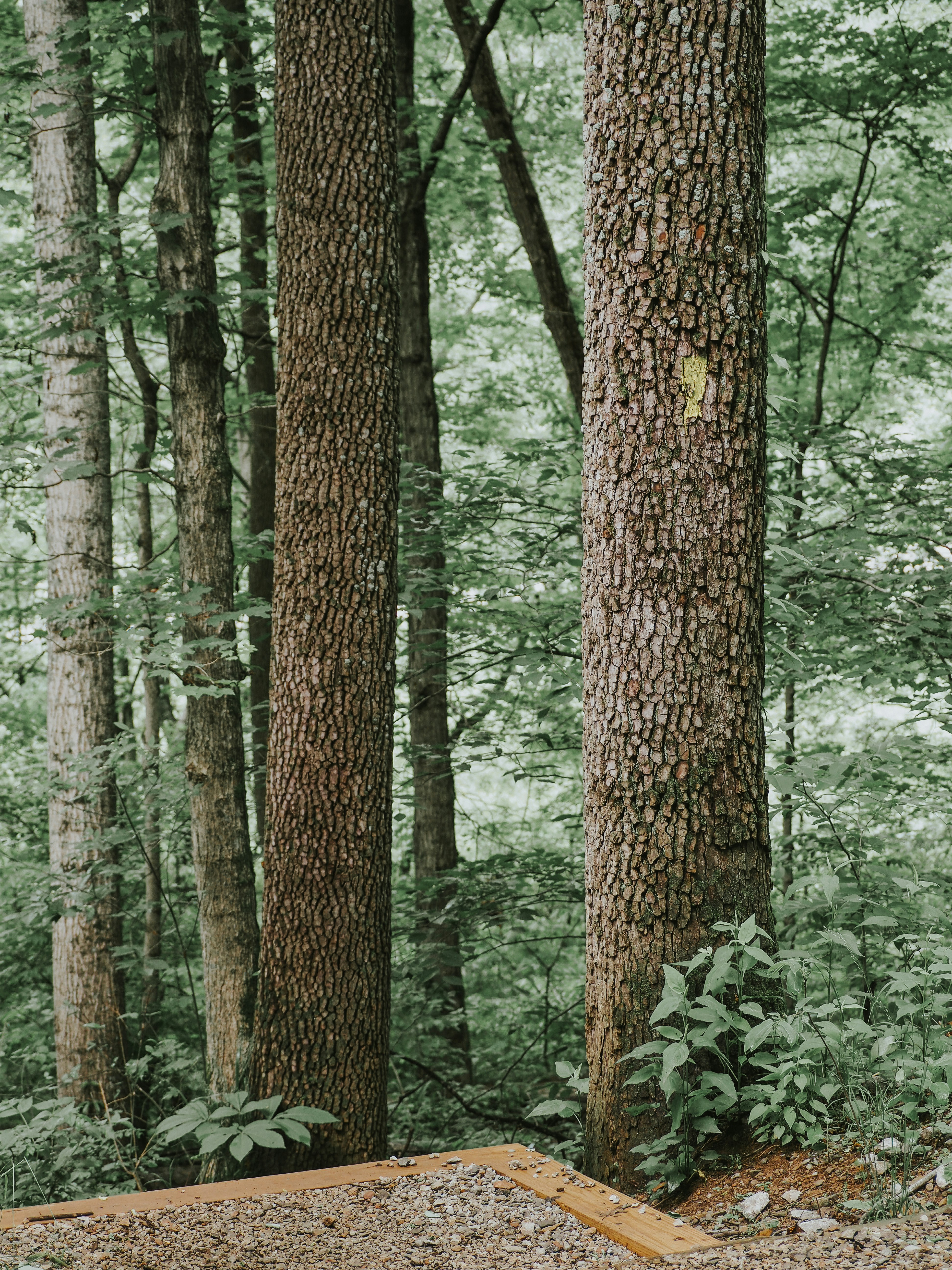 Photo by fieldworkframes