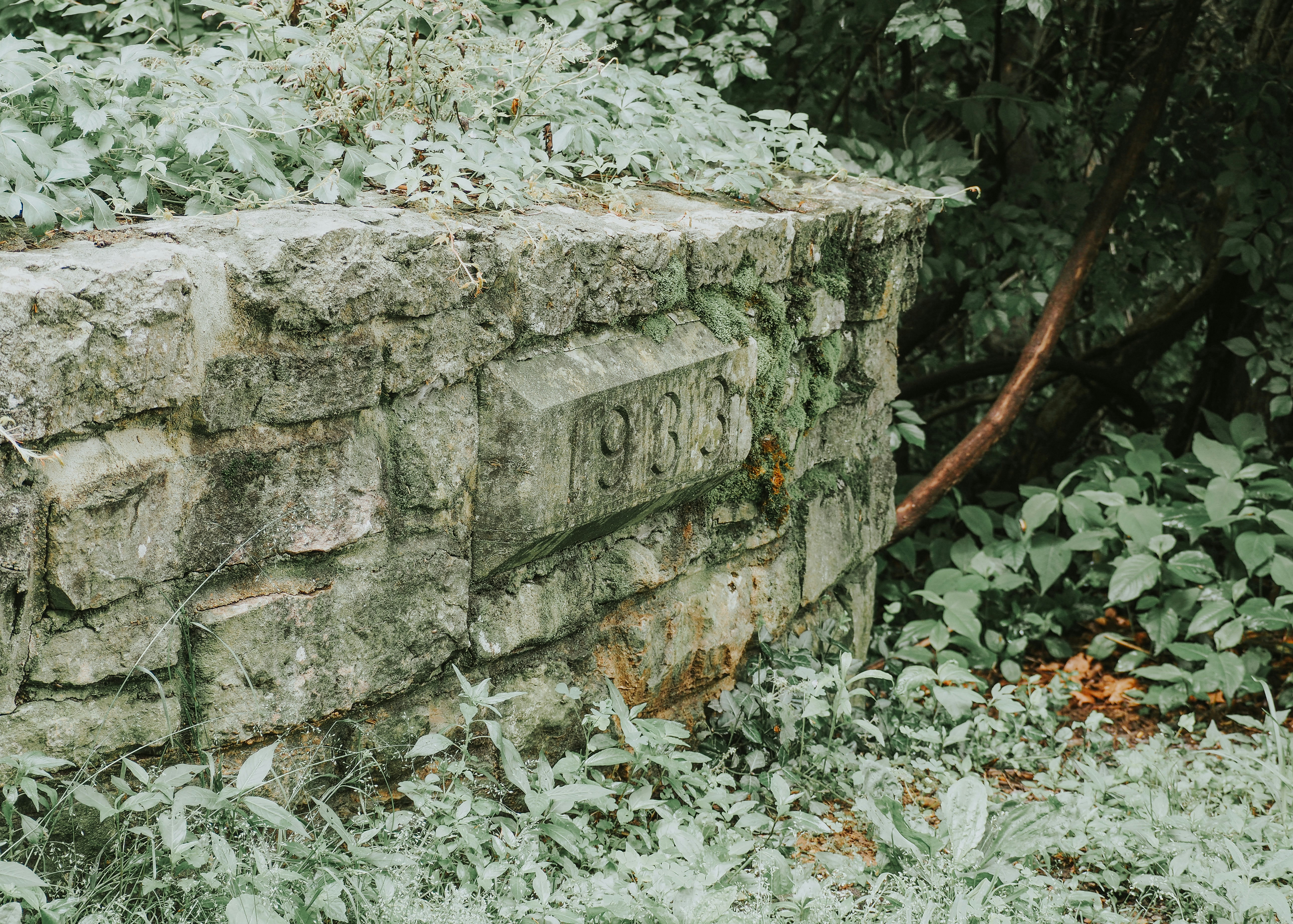 Photo by fieldworkframes