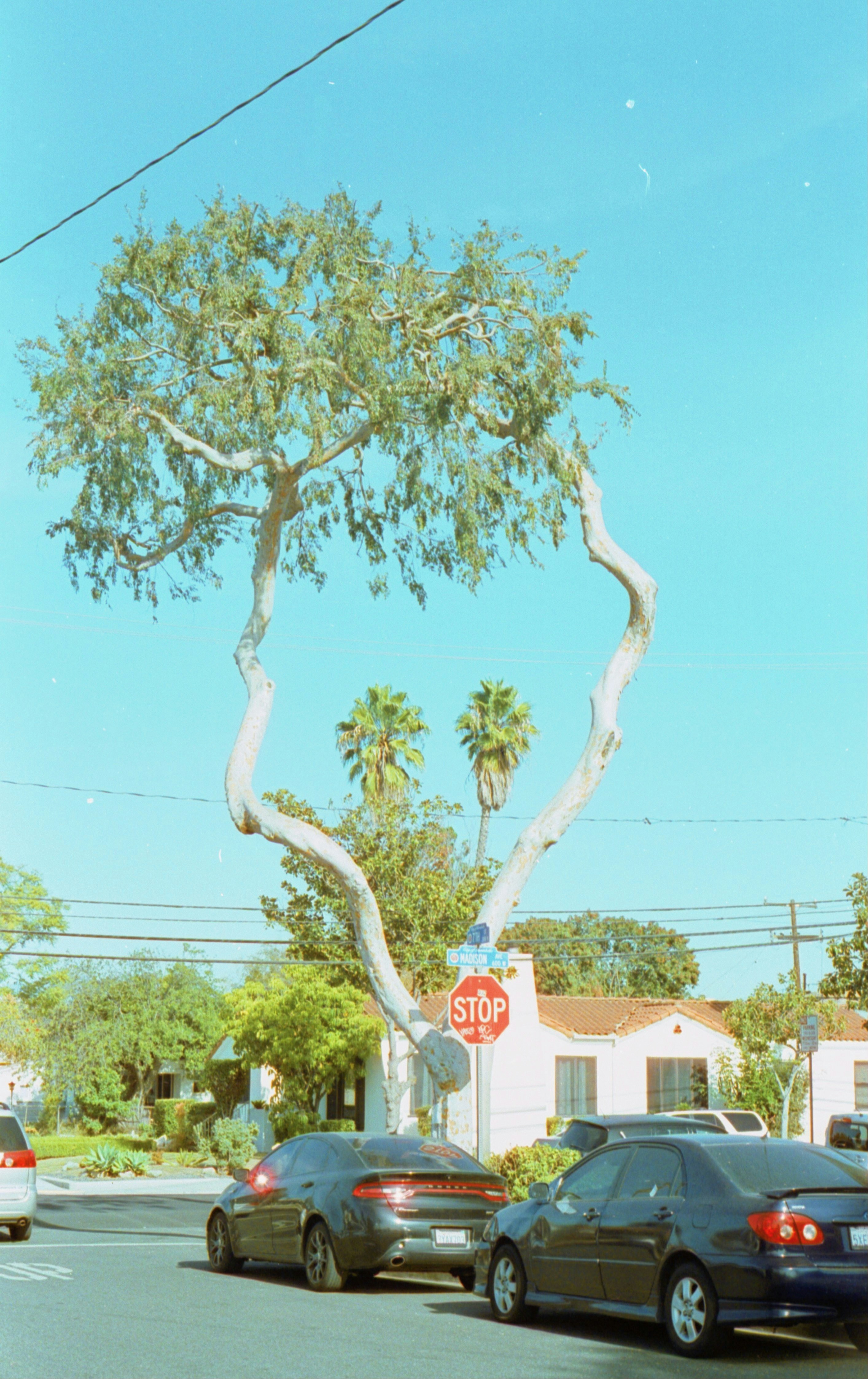 una señal de alto en la esquina de una calle