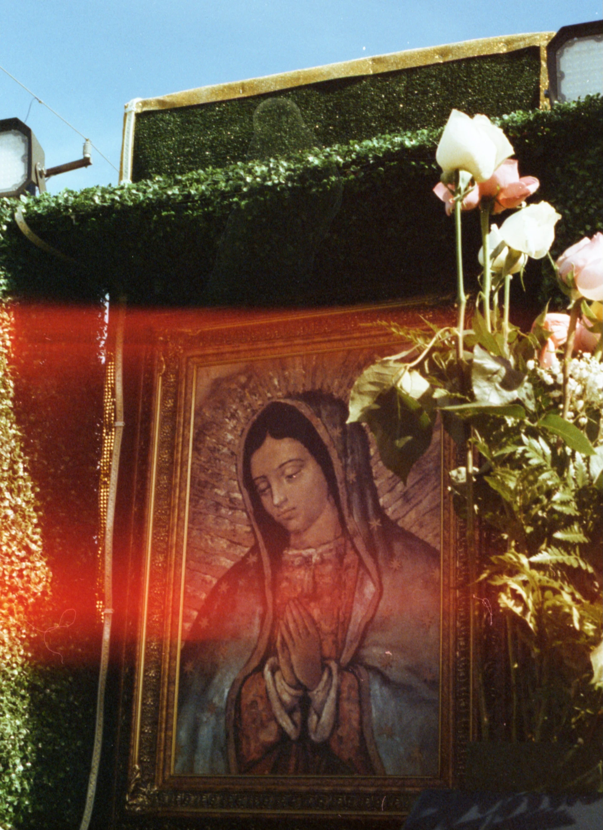 a picture of the virgin mary surrounded by flowers