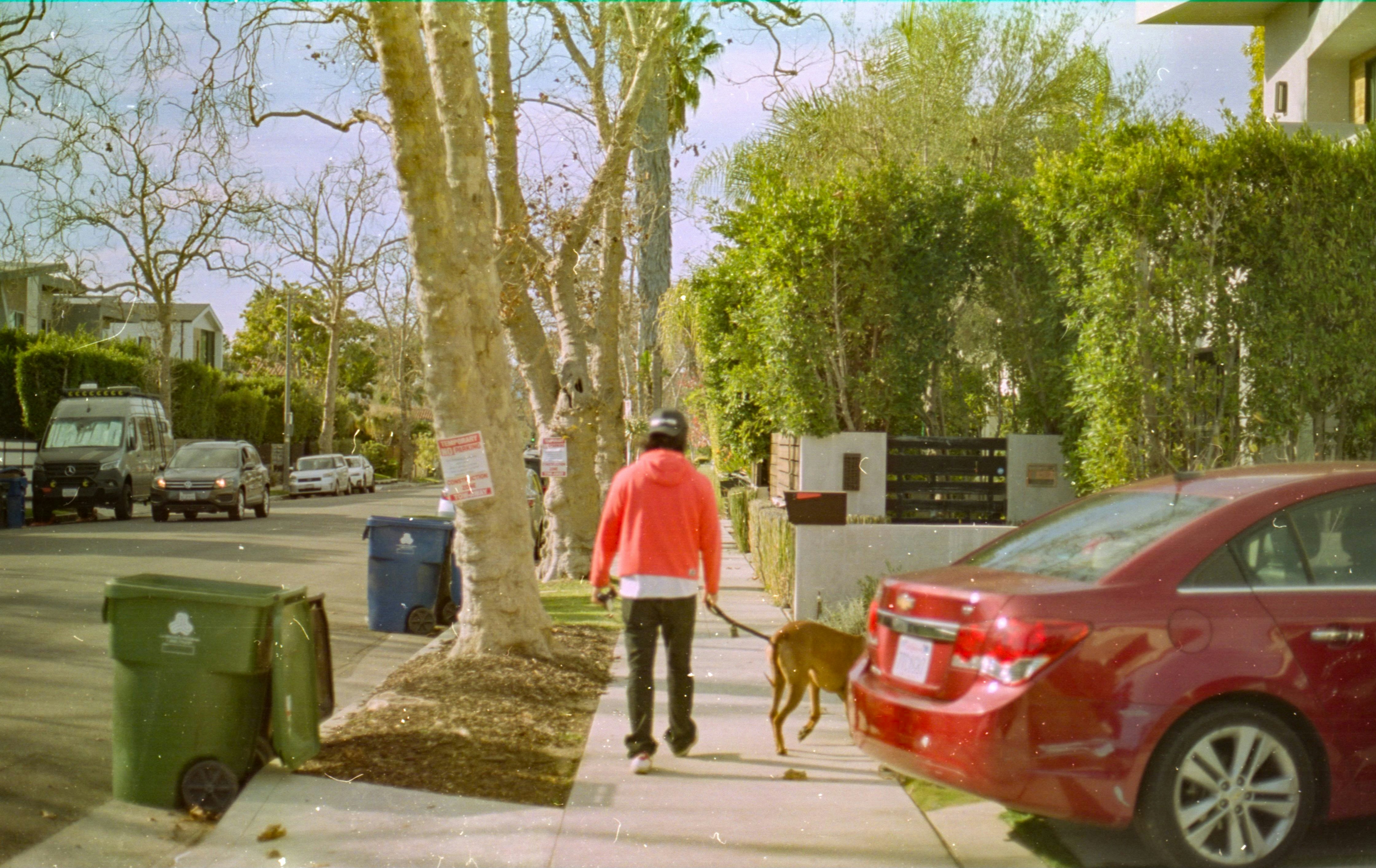 Una mujer paseando a un perro por una acera