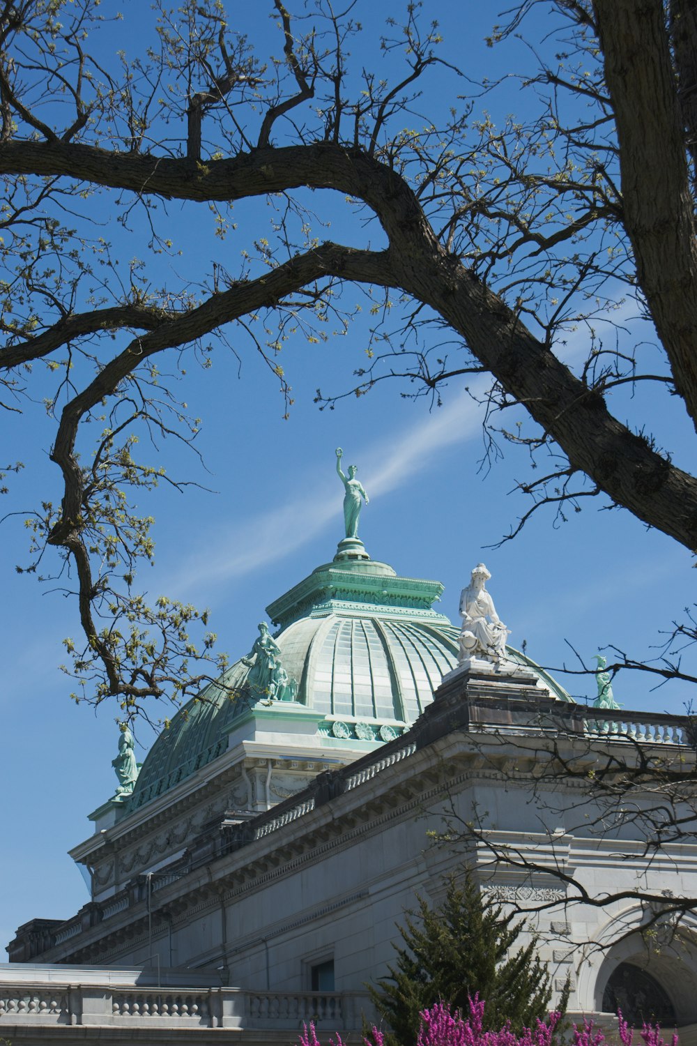 a building with a green roof and a tree in front of it