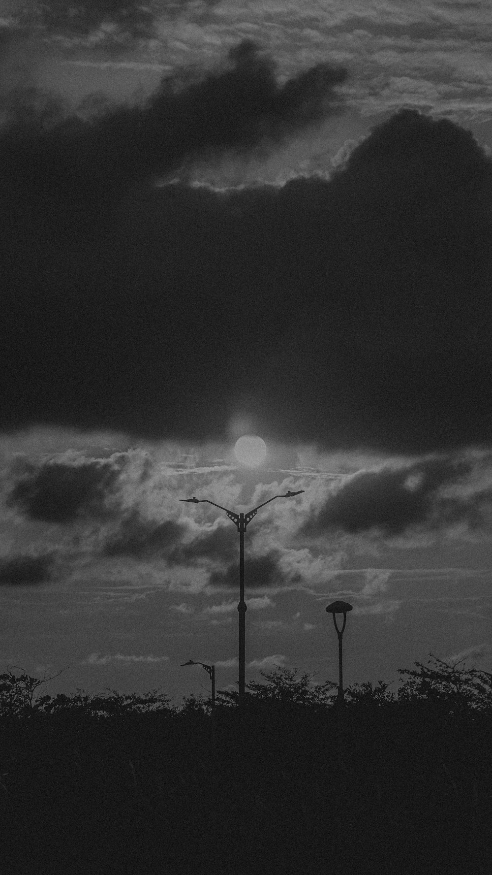 a black and white photo of a street light