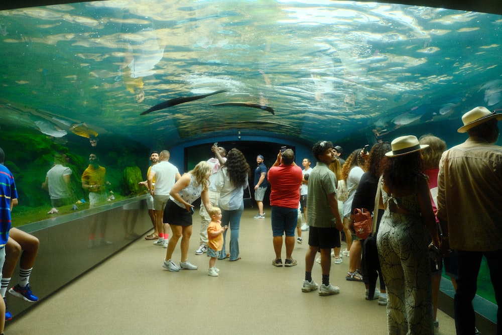 a group of people standing in front of a large aquarium