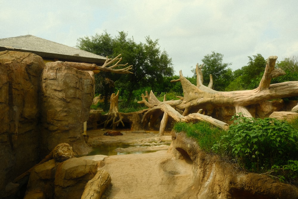 a zoo enclosure with rocks, trees, and water