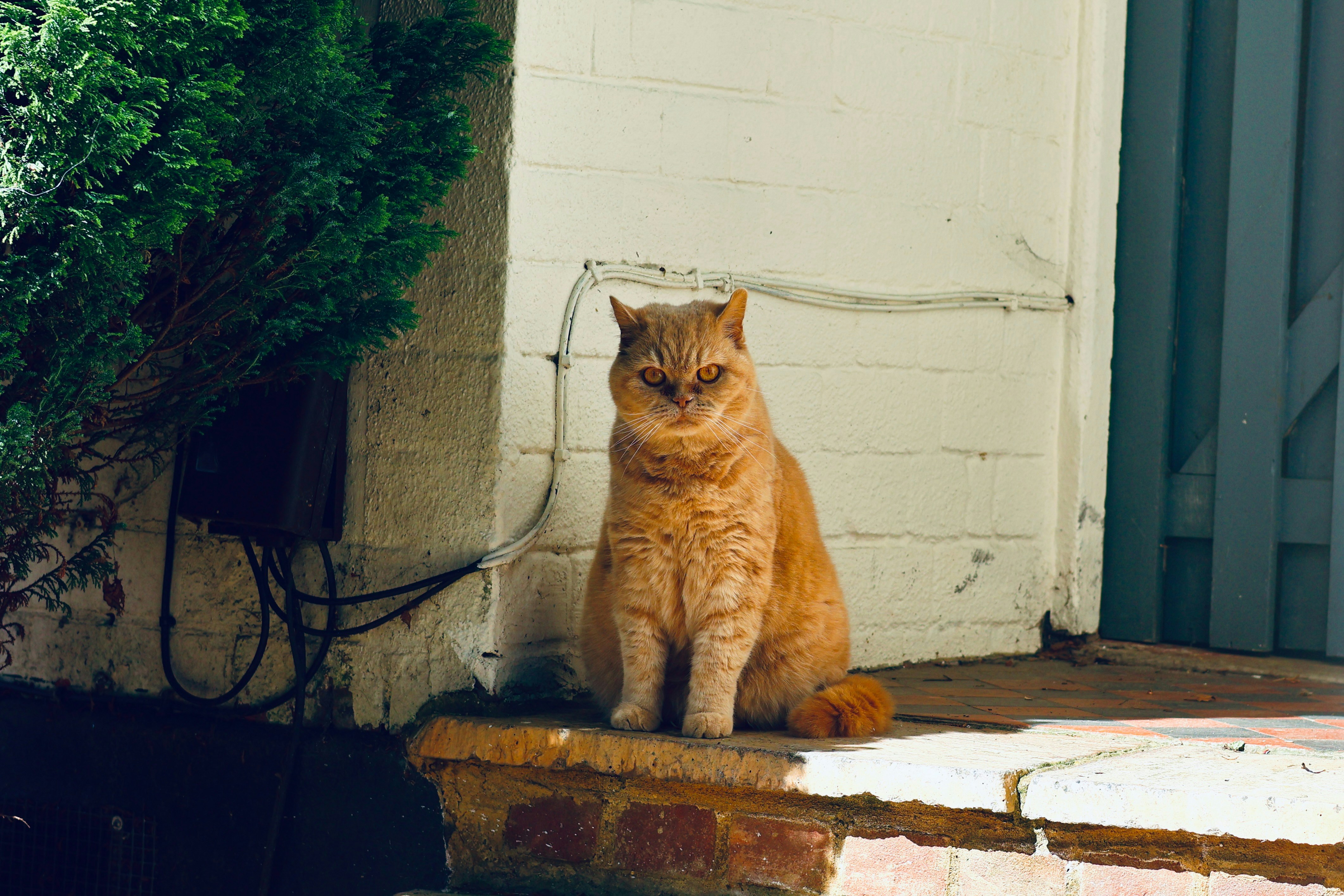 Photo by super_villain